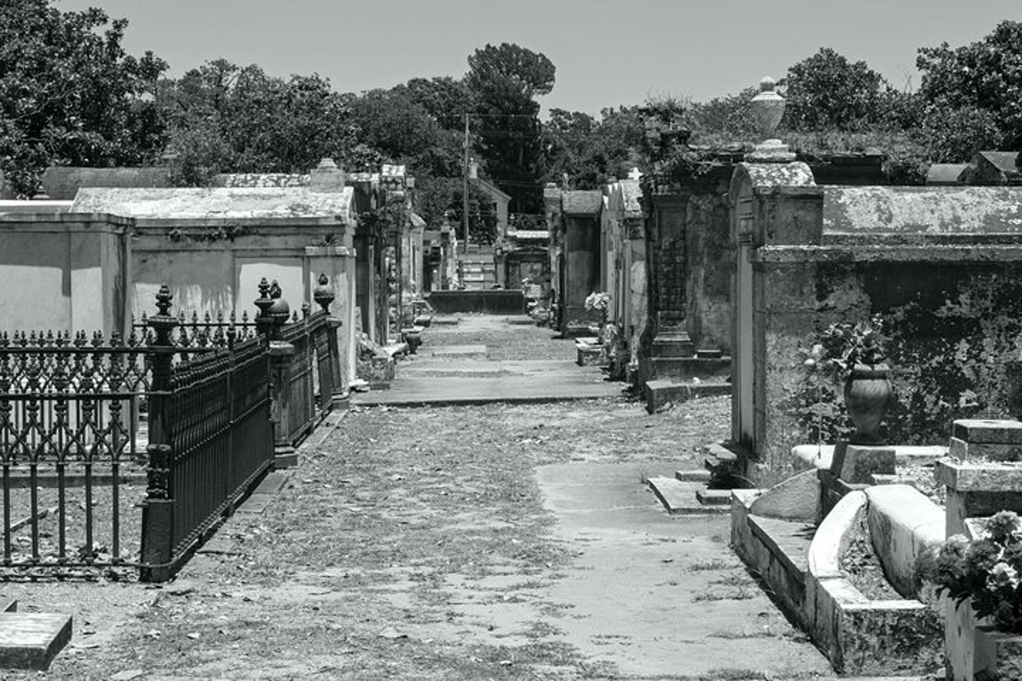 New Orleans Haunted City and Cemetery Bus Tour - Image 6