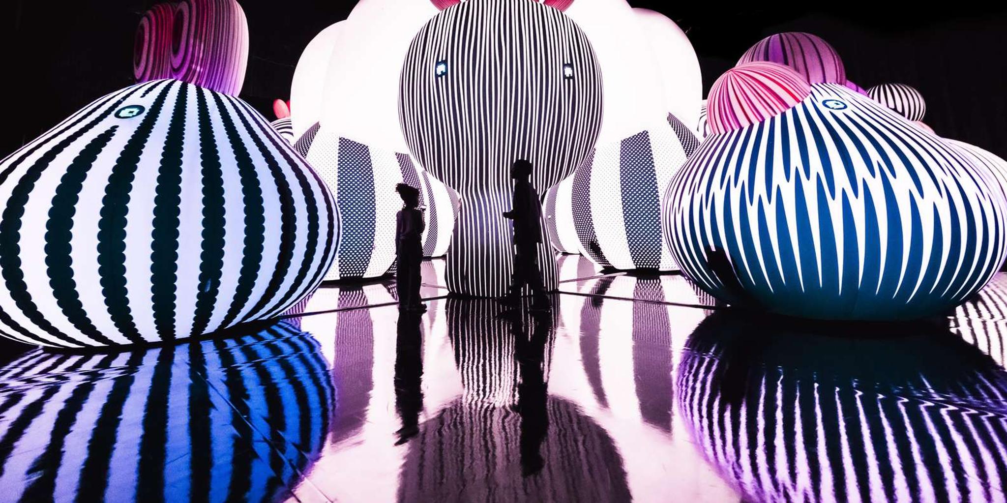 Chicago Balloon Museum Entry Tickets - Image 4