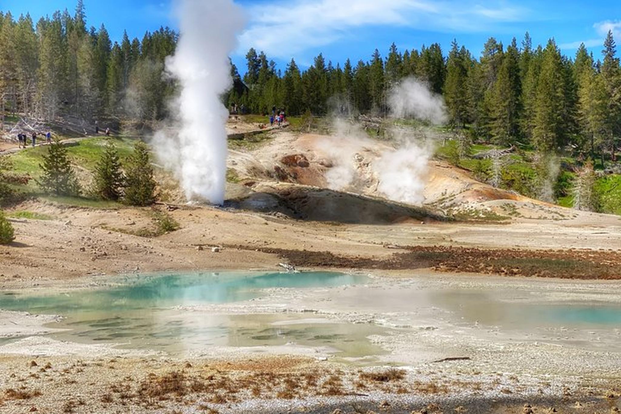 Yellowstone Private Day Tour in Lamar Valley