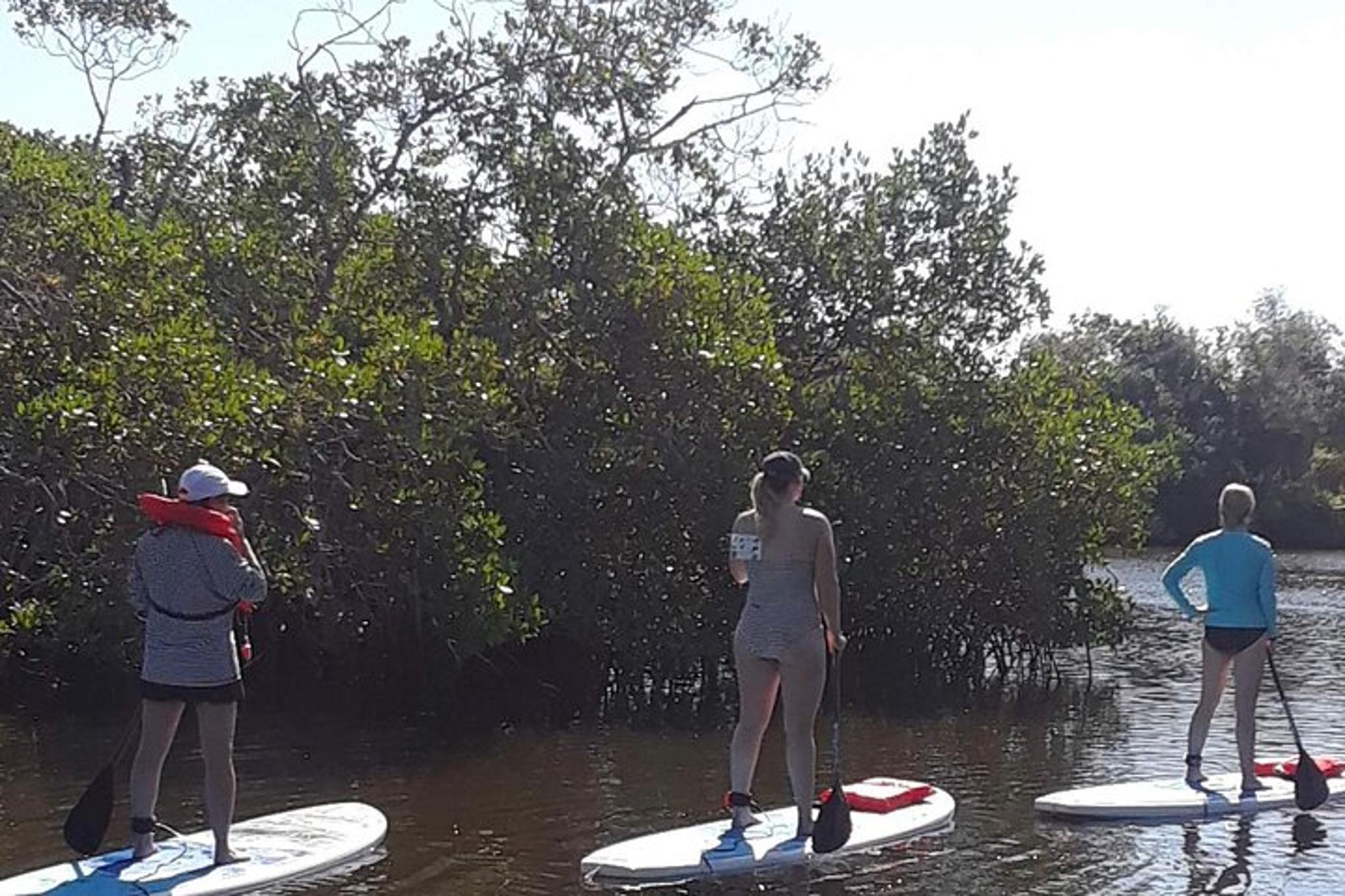 Naples Paddleboard Mangrove Forest Tour 90 Min - Image 6