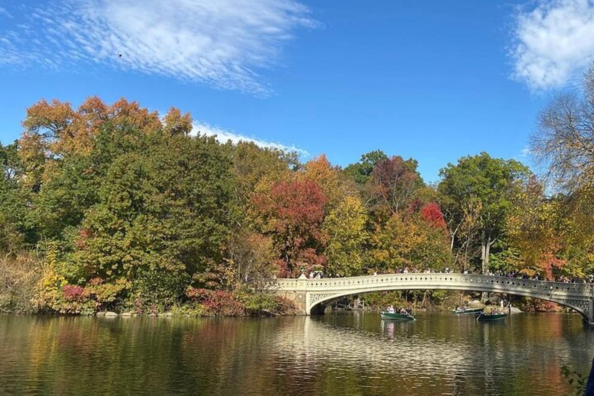 NYC Central Park Pedicab Tour - Image 5