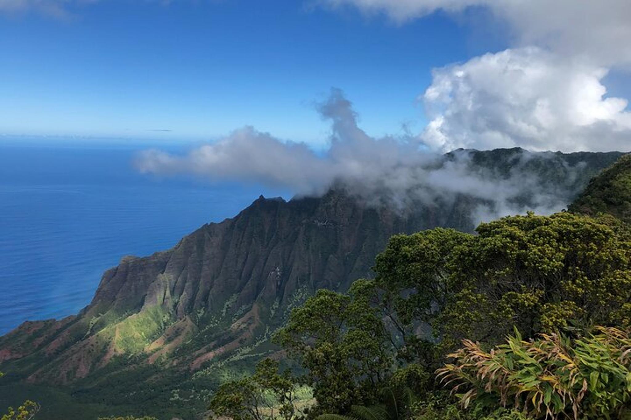 Kauai Island Tour: Waimea Canyon and Kalalau Lookout - Image 2