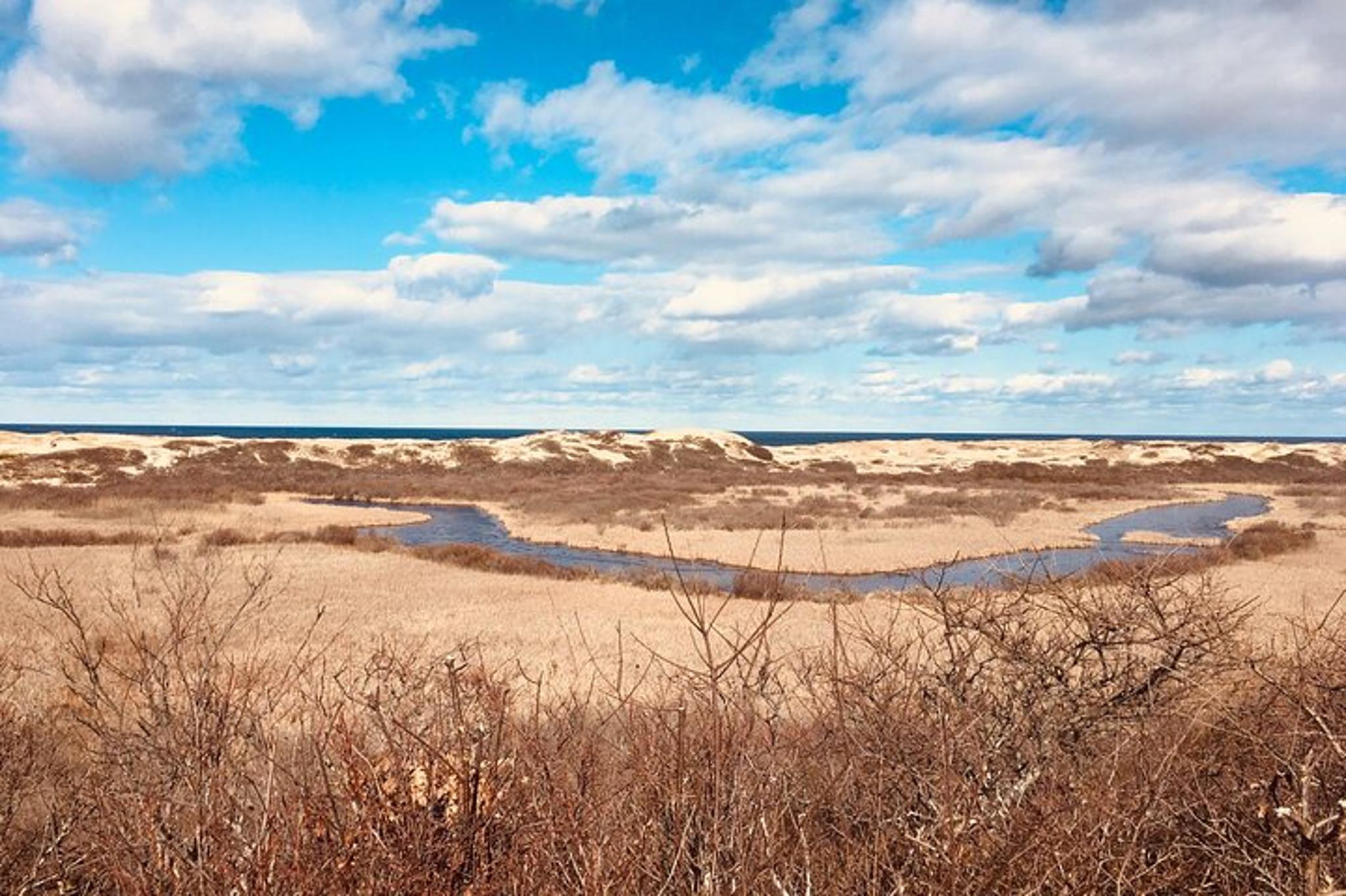 Cape Cod National Seashore Guided Hike - Image 4