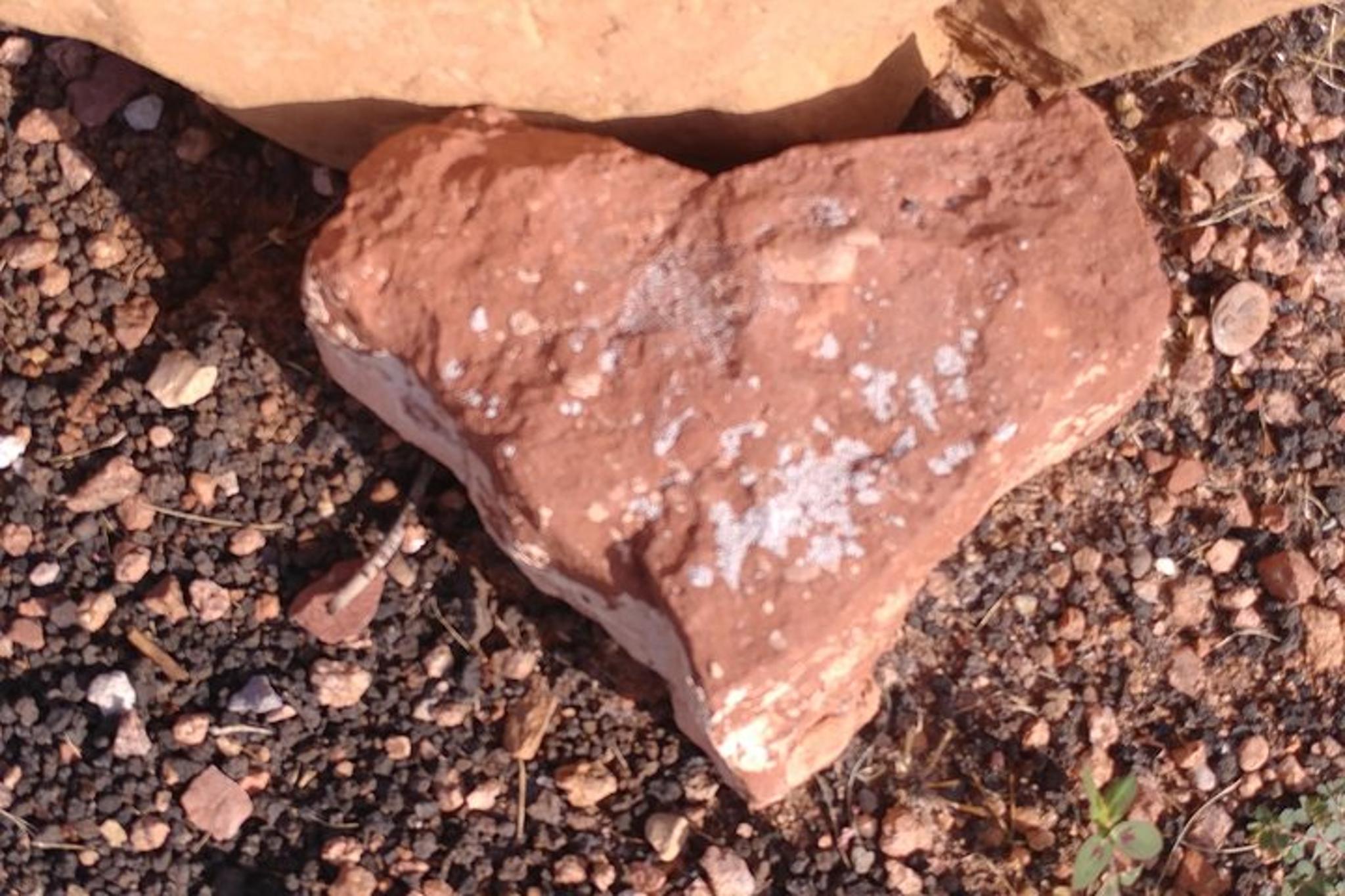 Sedona Medicine Wheel and Vortex Journey 4 hr - Image 5