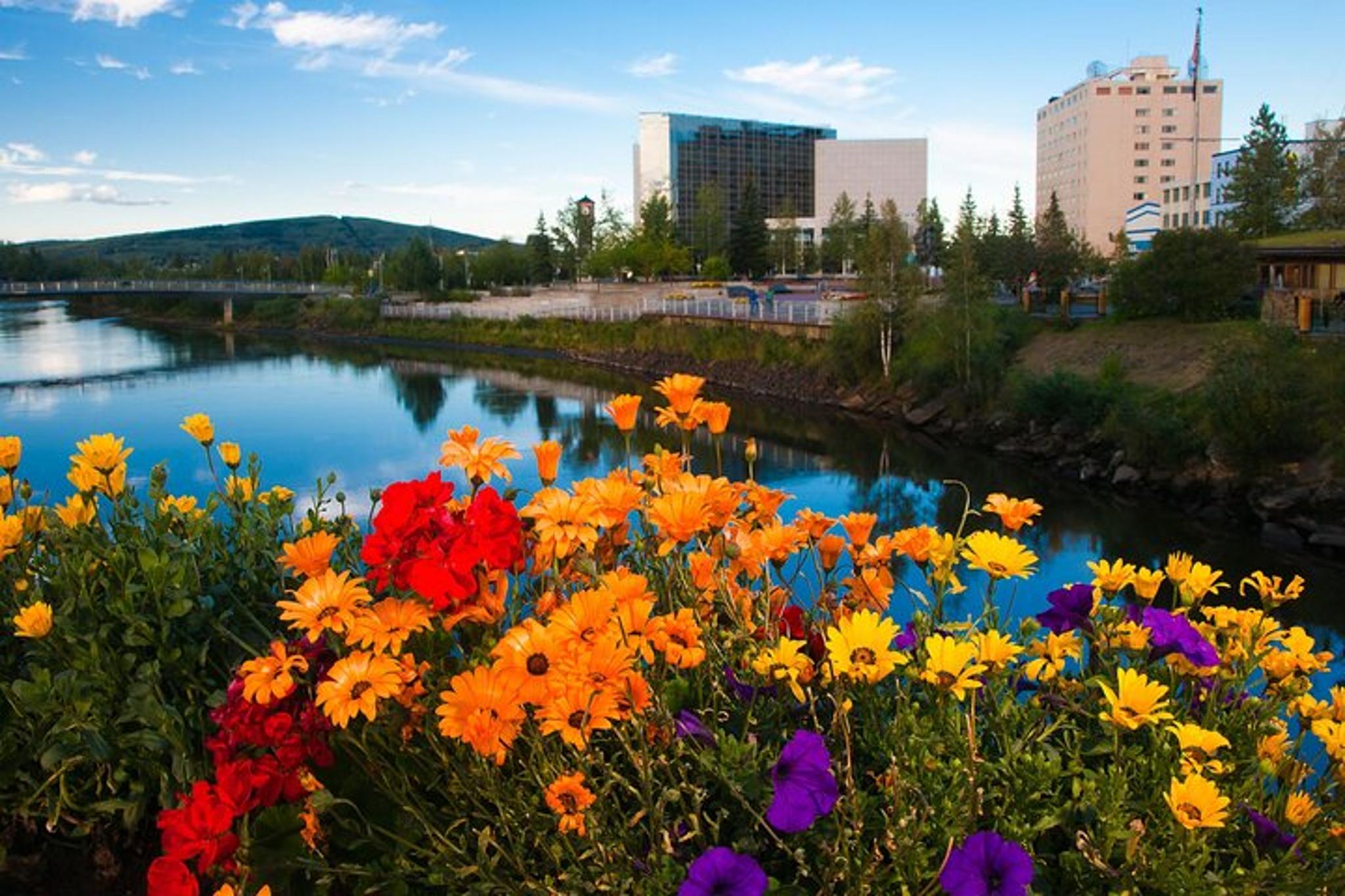 Fairbanks to Denali National Park Private Transfer - Image 2