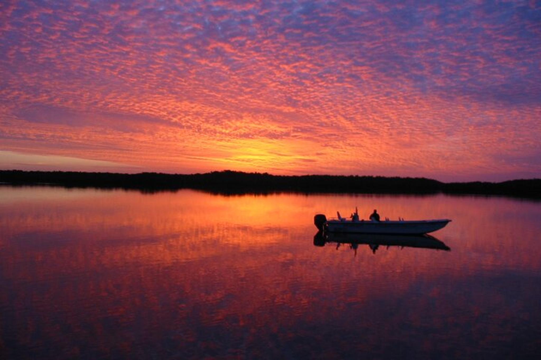 Everglades City Boating and Walking Expedition - Image 4