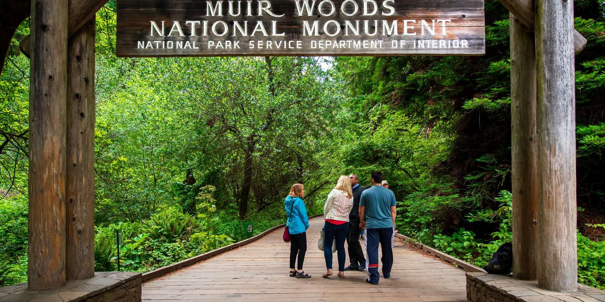 San Francisco Muir Woods and Sausalito Tour - Image 5