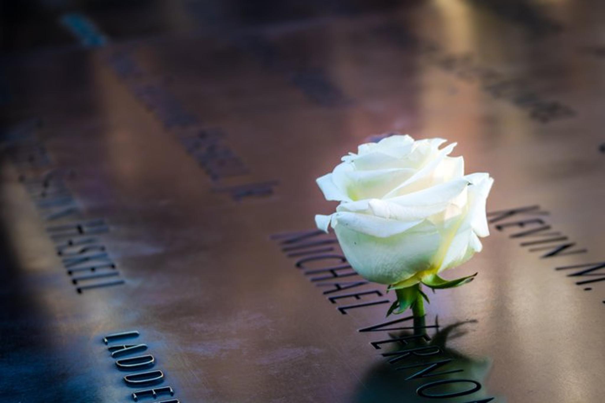 New York 9/11 Memorial Tour with Personal Story - Image 2