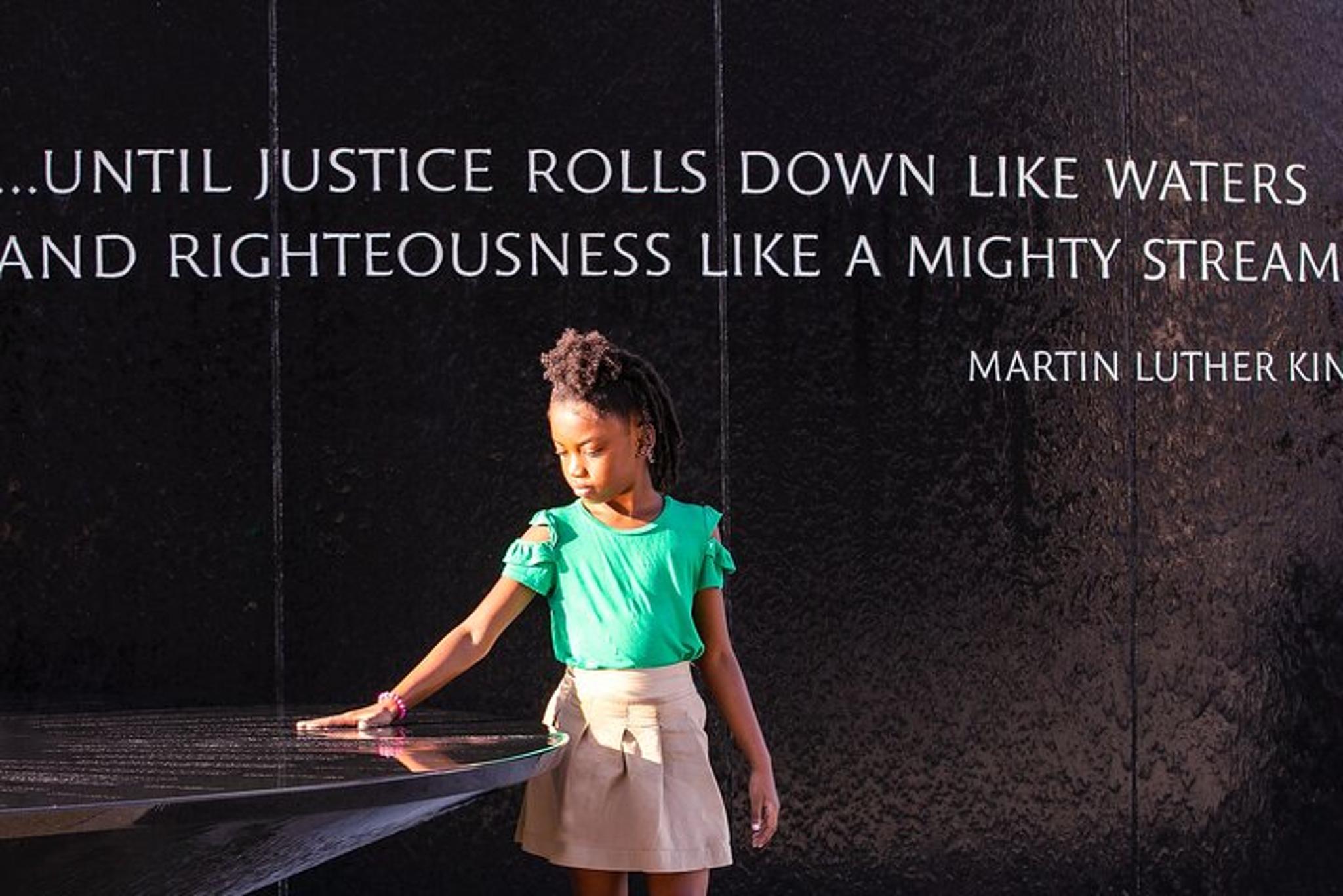 Montgomery Multi-Attraction Pass - Image 3