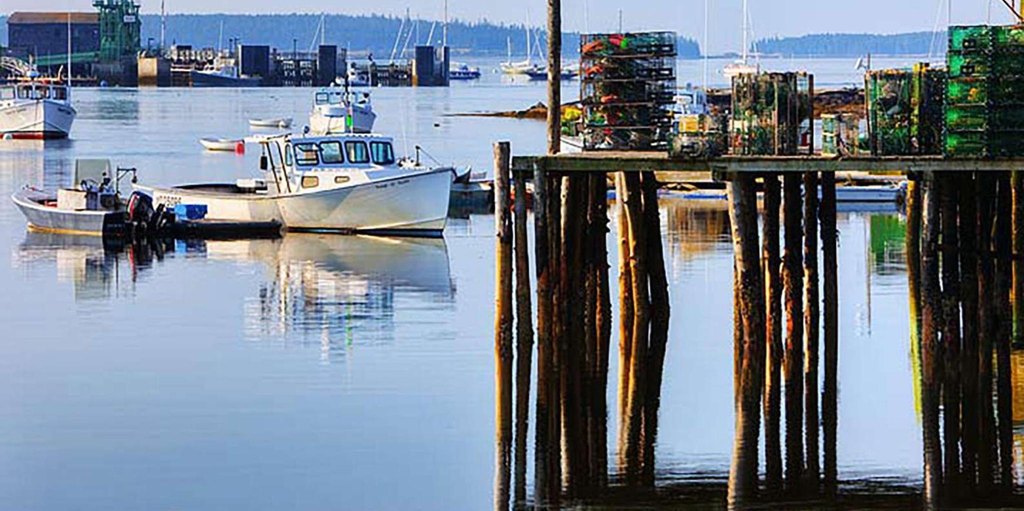 Bar Harbor Acadia National Park Private Tour 4 hr