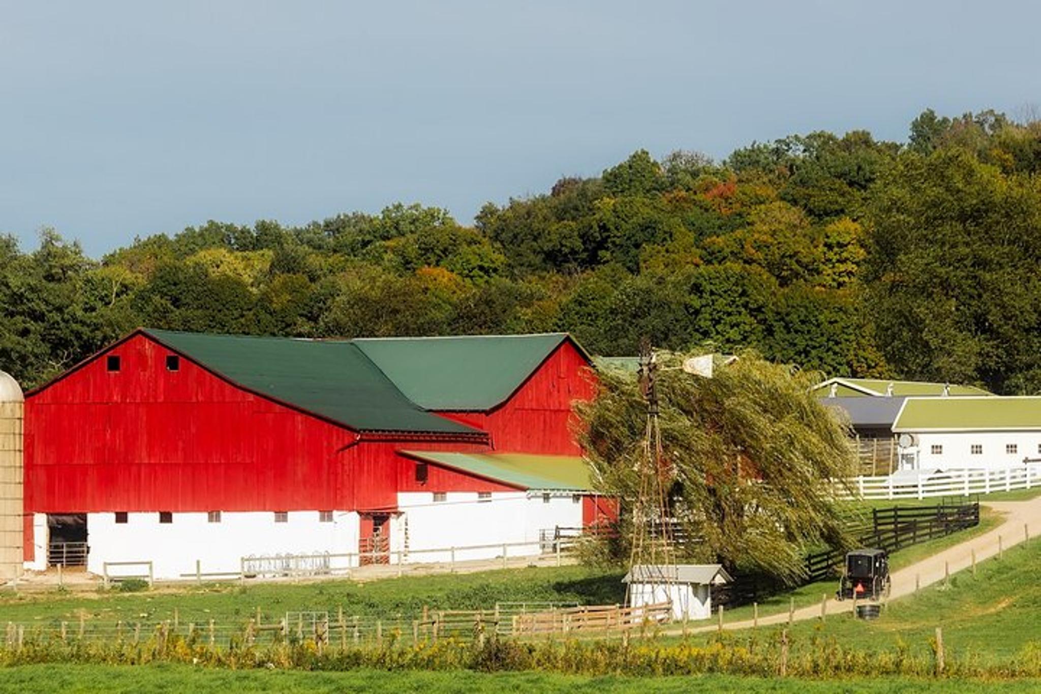 Washington DC and Amish Country Tour 2 Days - Image 6