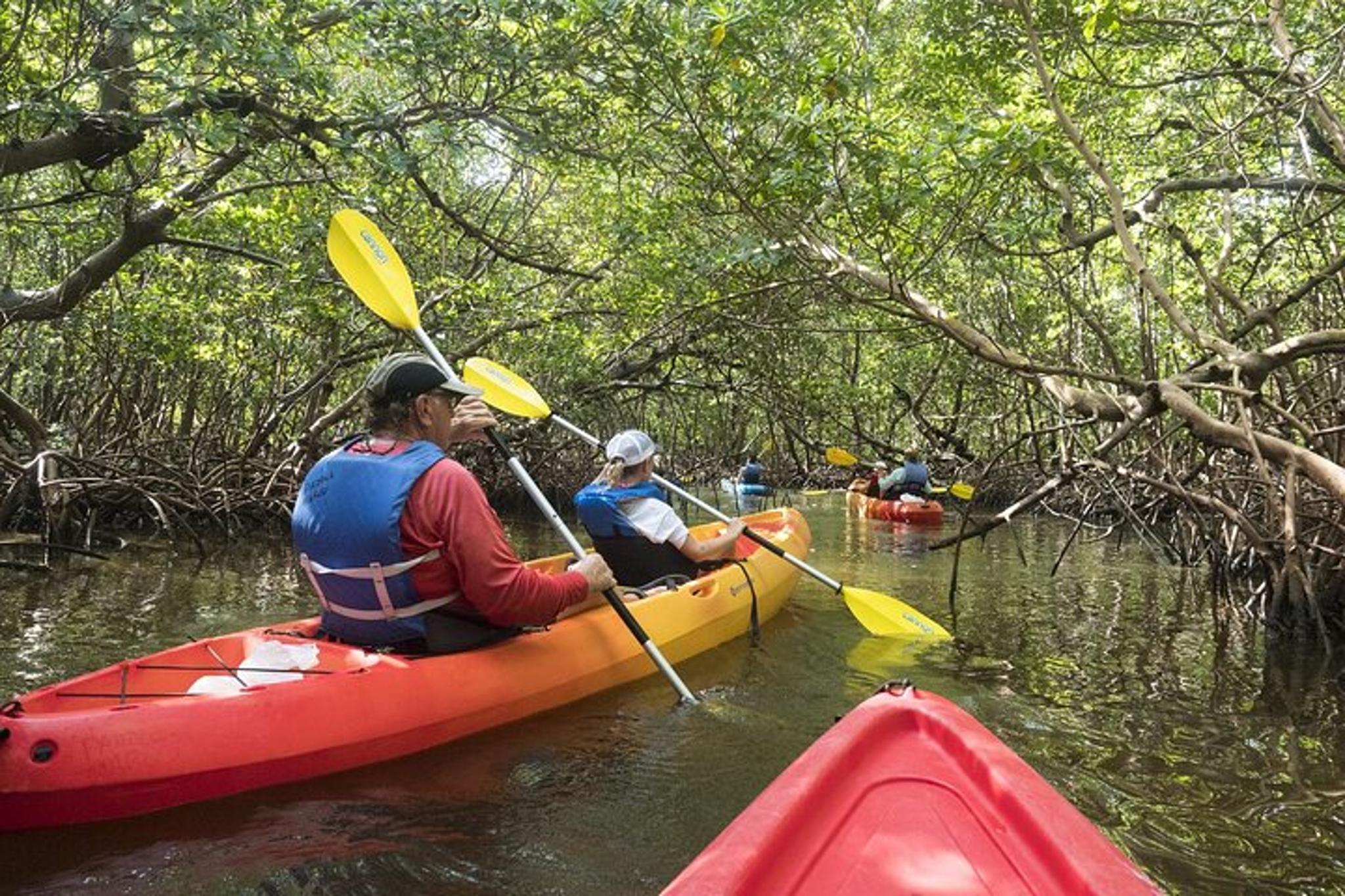 Marco Island Mangrove Kayak Tour with Photographer - Image 6
