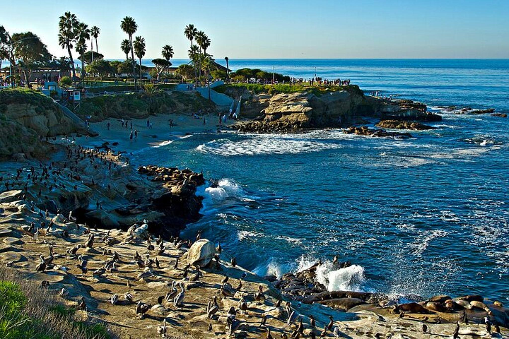San Diego Scavenger Hunt at La Jolla Cove - Image 6