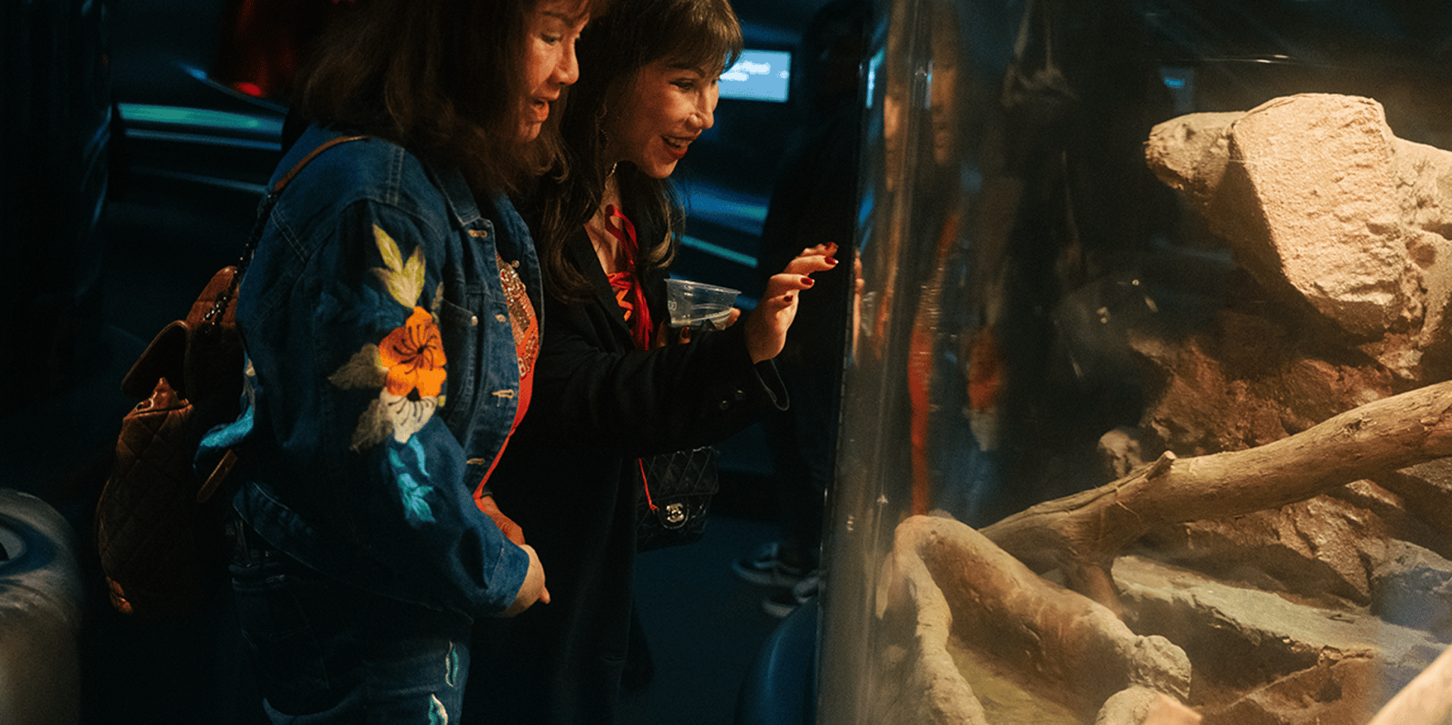 San Francisco NightLife at California Academy of Sciences - Image 6