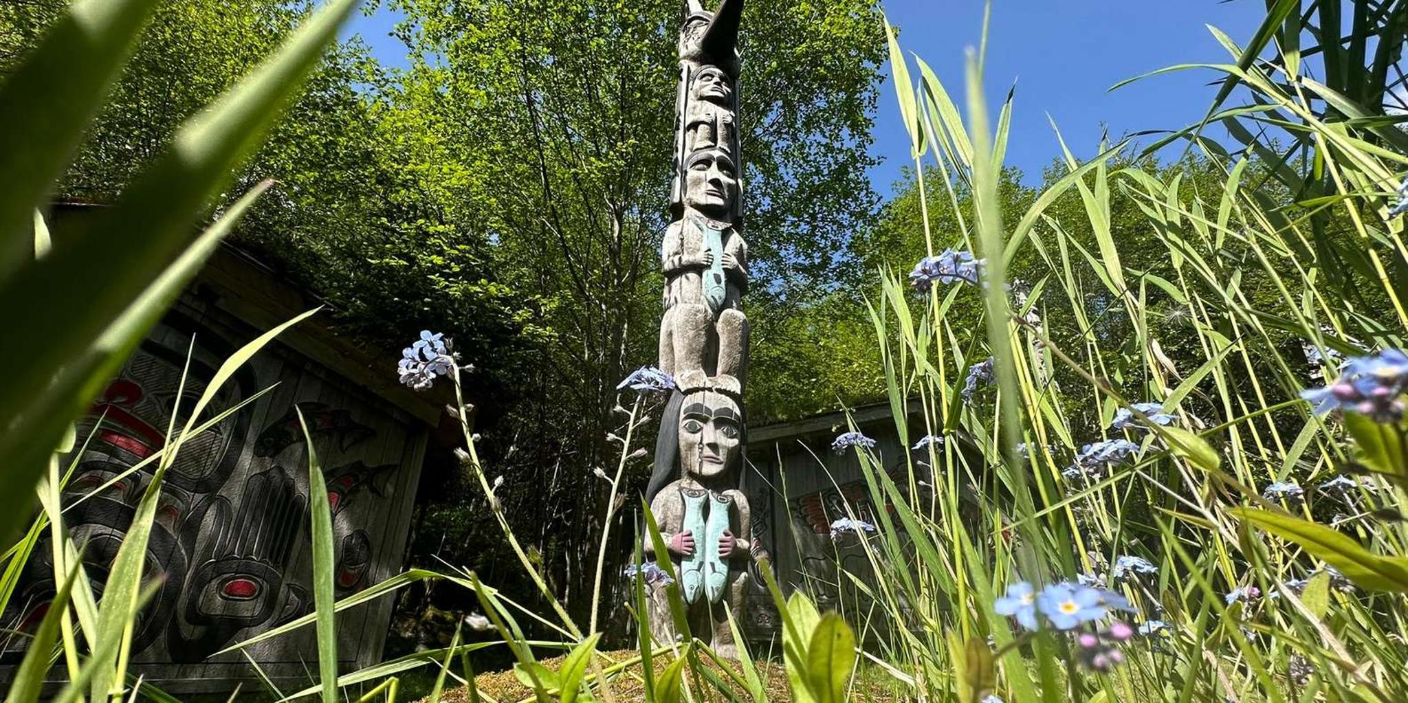 Ketchikan Rainforest Walk and Totem Park Tour - Image 6