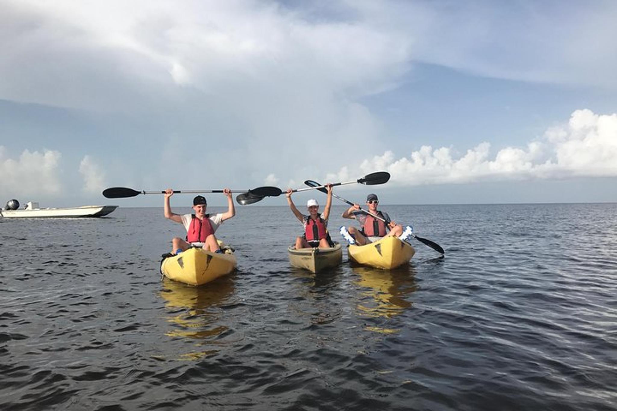 Everglades Eco Tour: Boat, Kayak, and Walk - Image 4