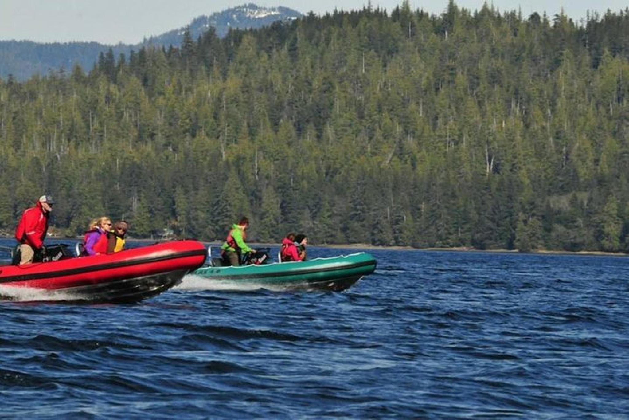 Ketchikan Zodiac Wilderness Adventure - Image 6