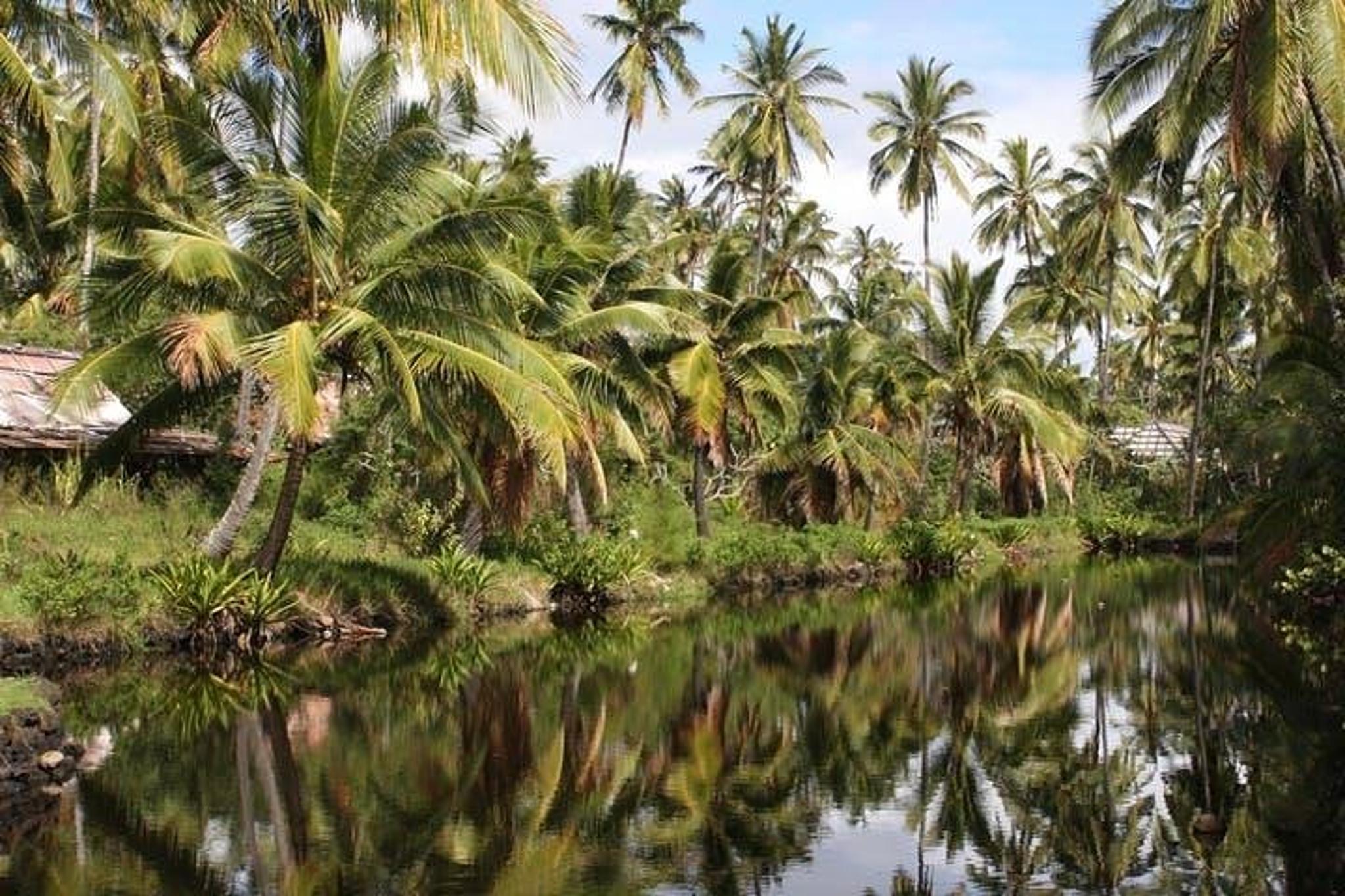 Kauai Movie Locations Tour - Image 5