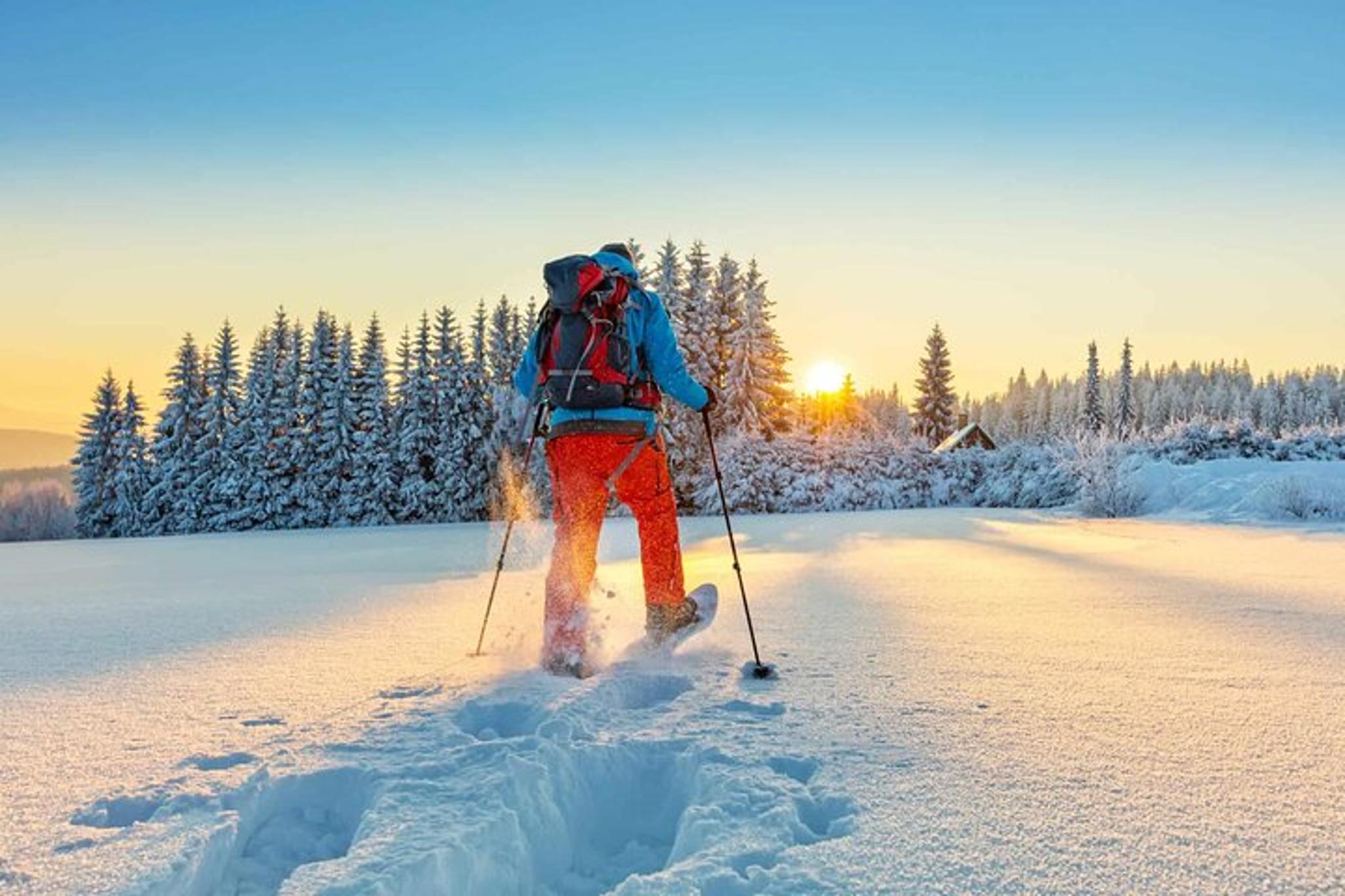 Paradise Valley Snowshoeing Tour