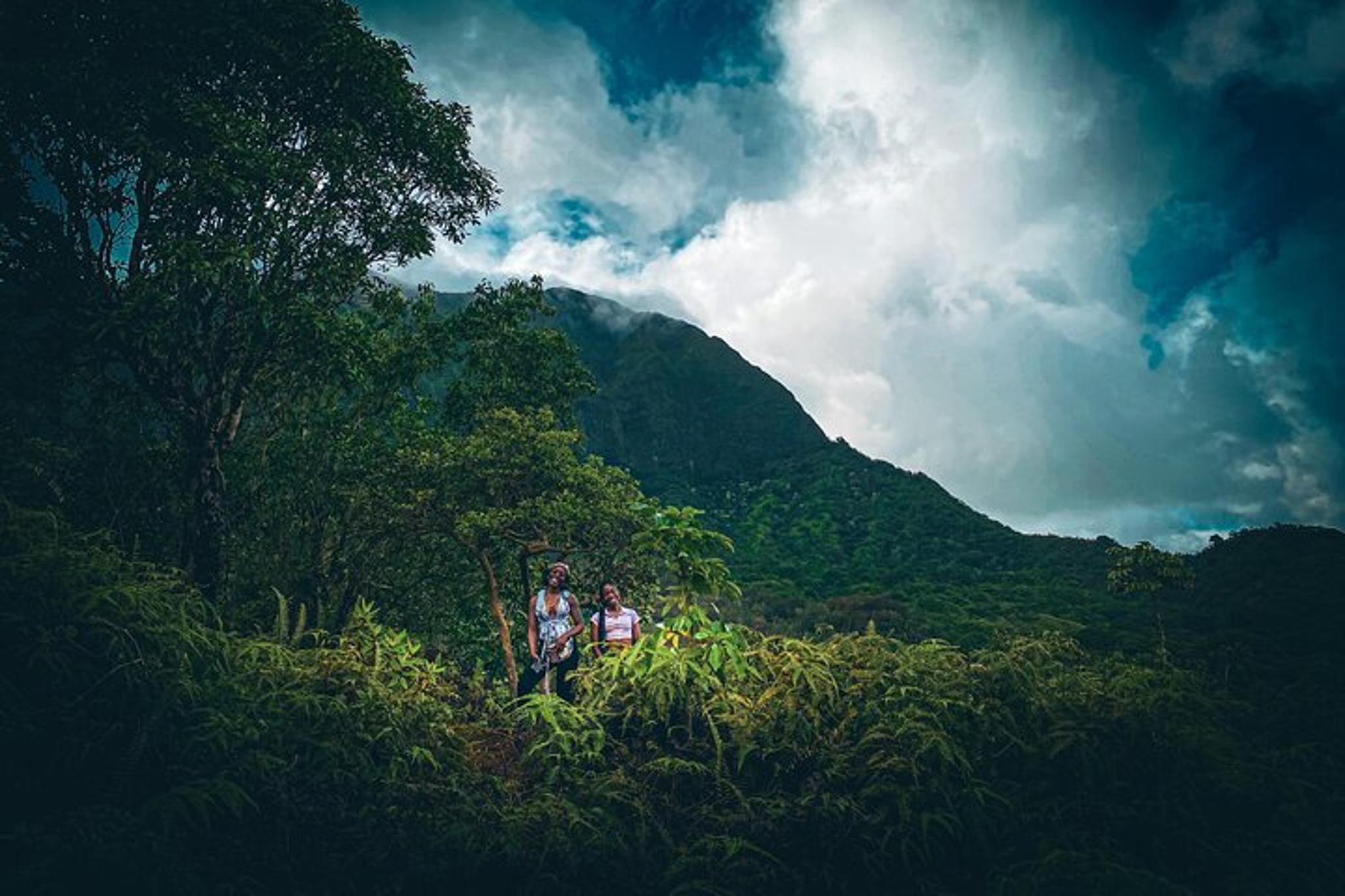 Honolulu Waterfall Hike in Rainforest - Image 4