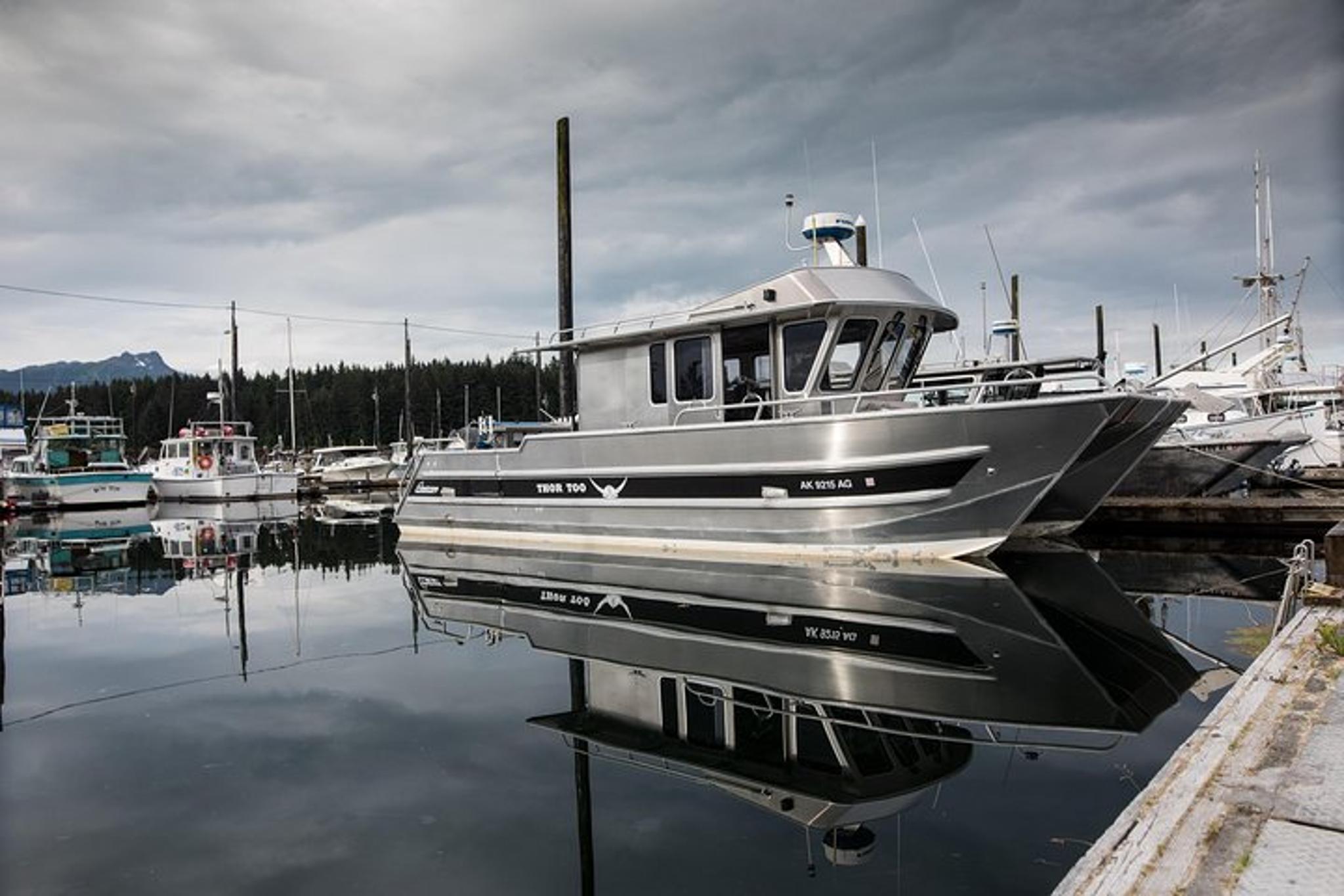 Hoonah Whale Watching Tour in Icy Strait - Image 3