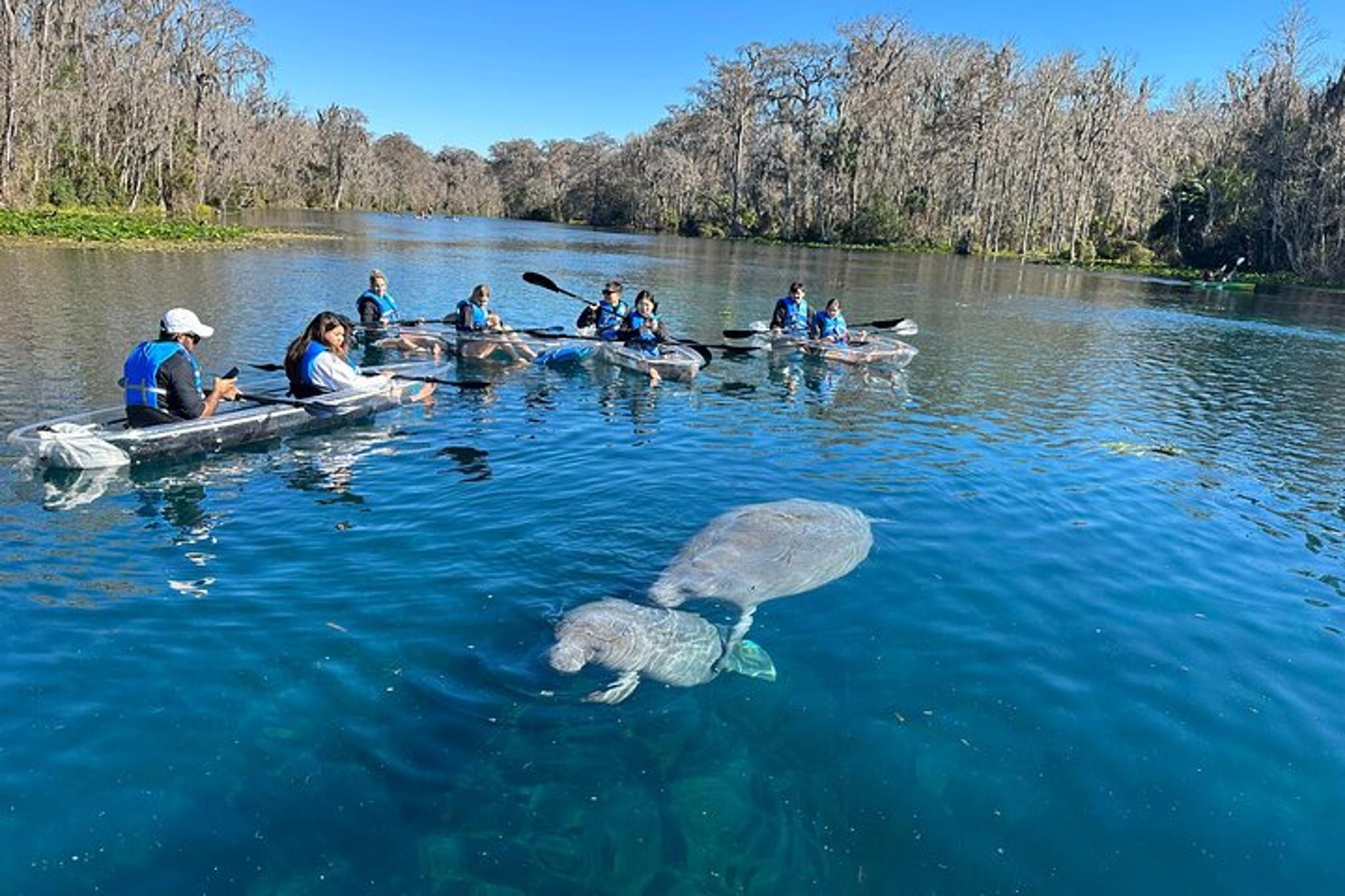Silver Springs Self-Guided Clear Kayak Tour 2 hr - Image 2