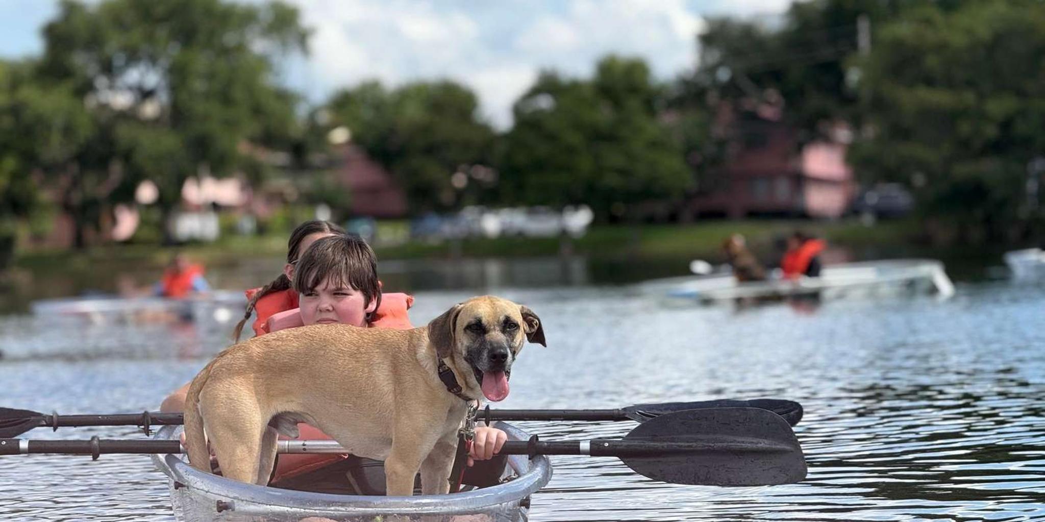 Orlando Paddle with Pups Tour - Image 5