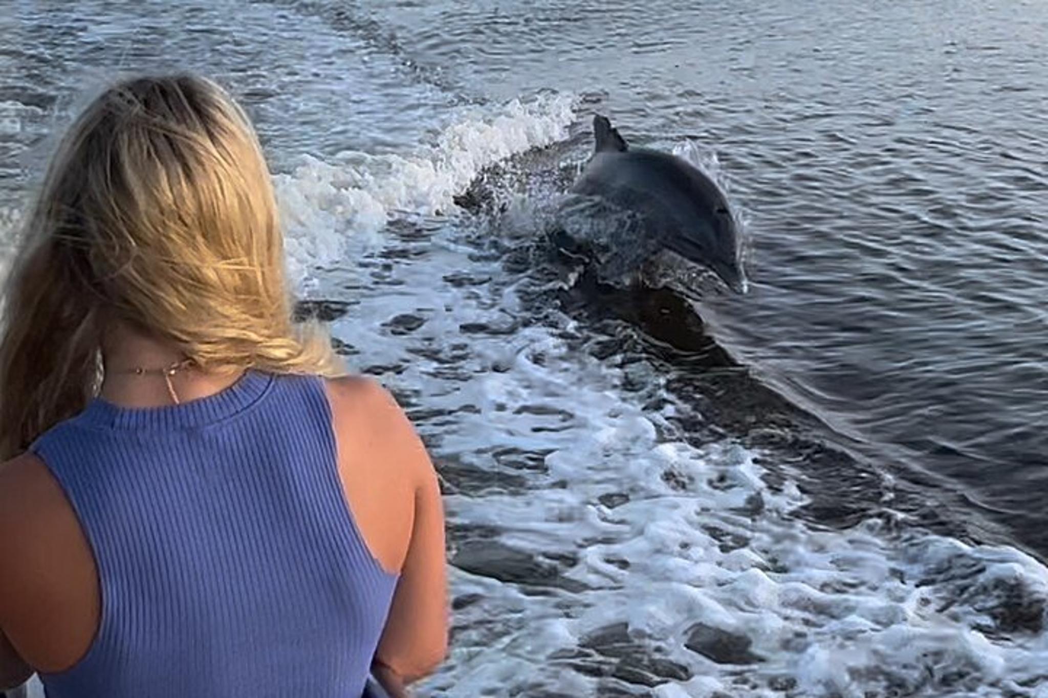 Marco Island Boat Tour Through Ten Thousand Islands - Image 3