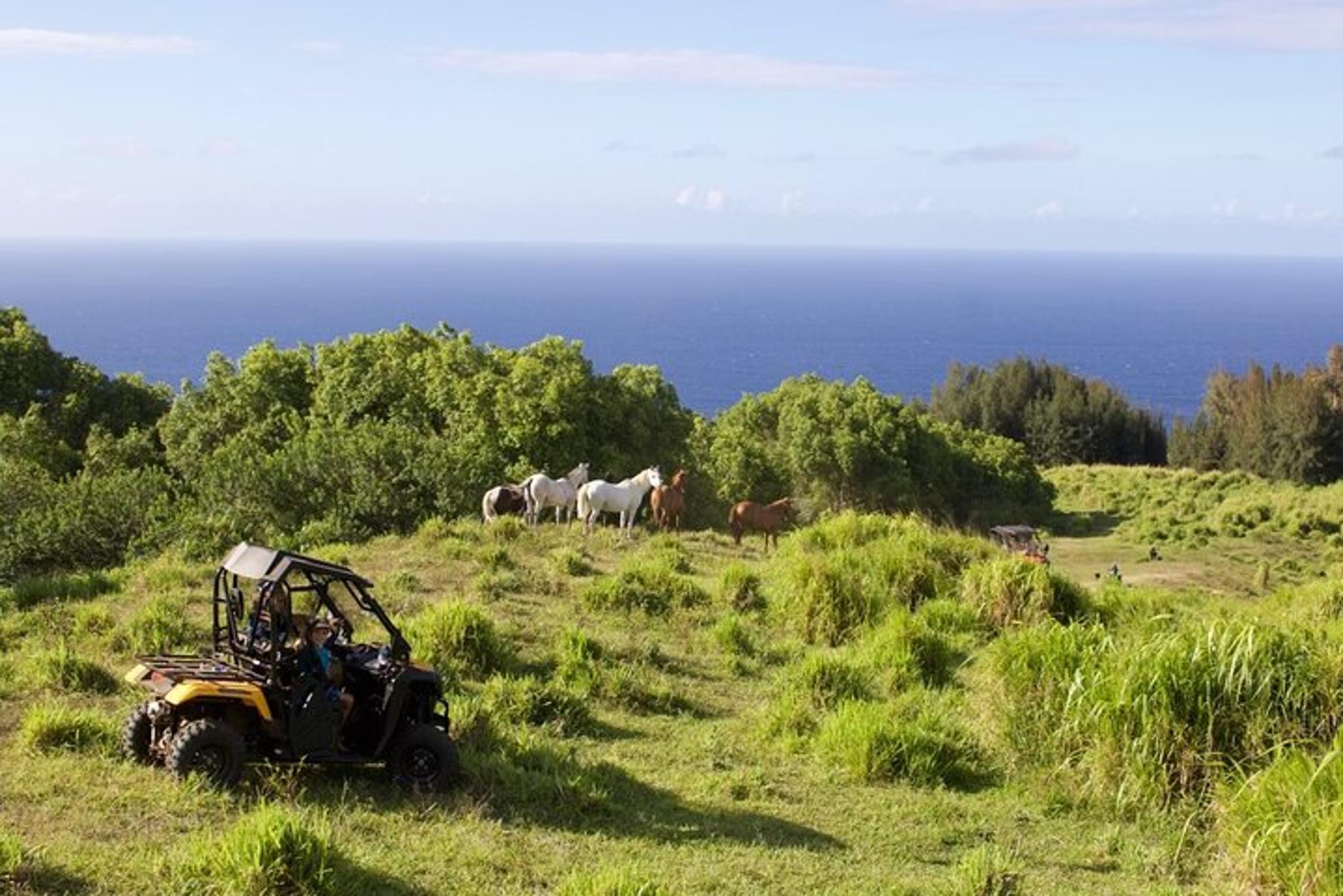 Big Island ATV Ranch Ride - Image 6