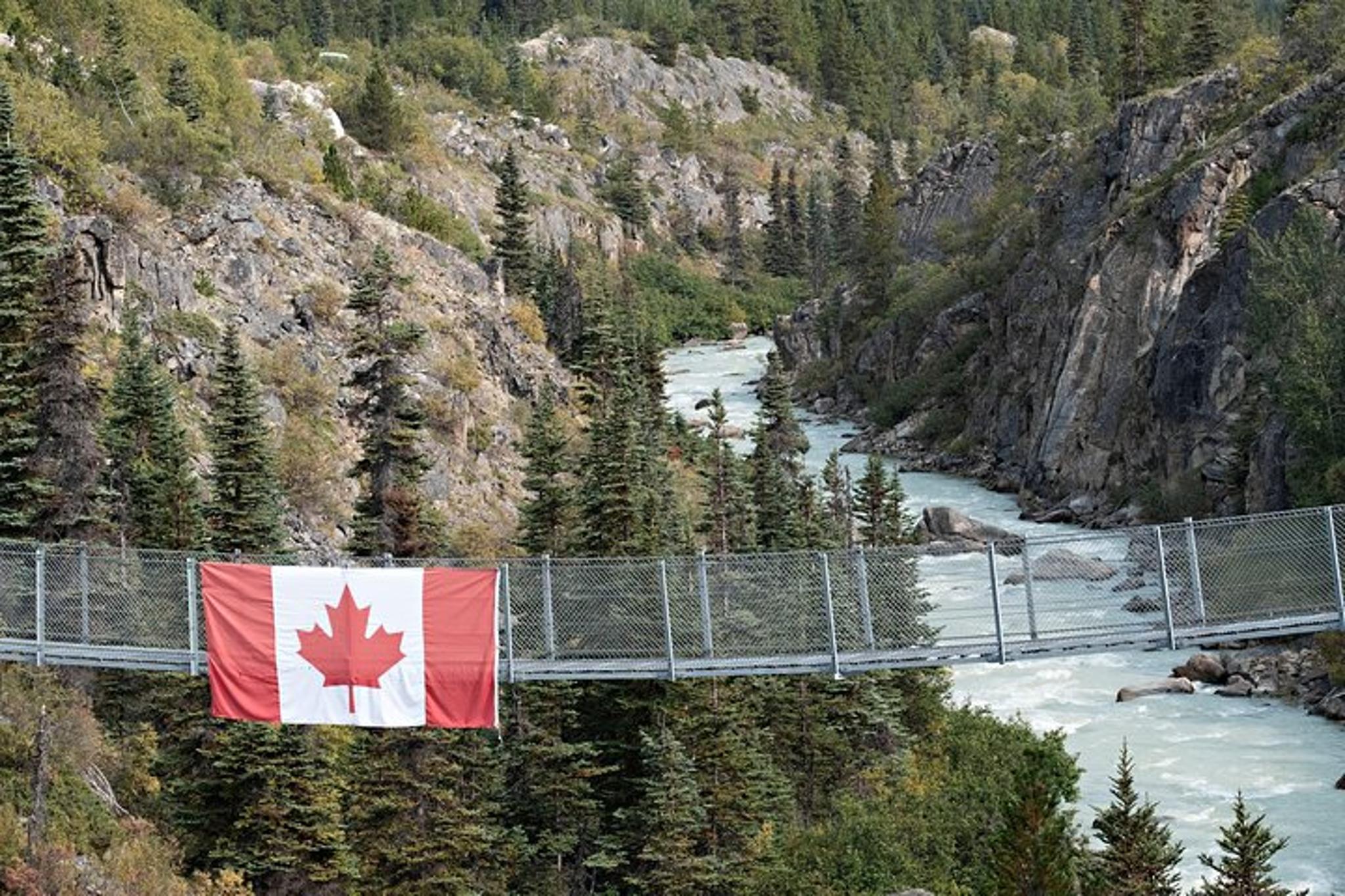 Skagway Yukon Suspension Bridge Tour - Image 3