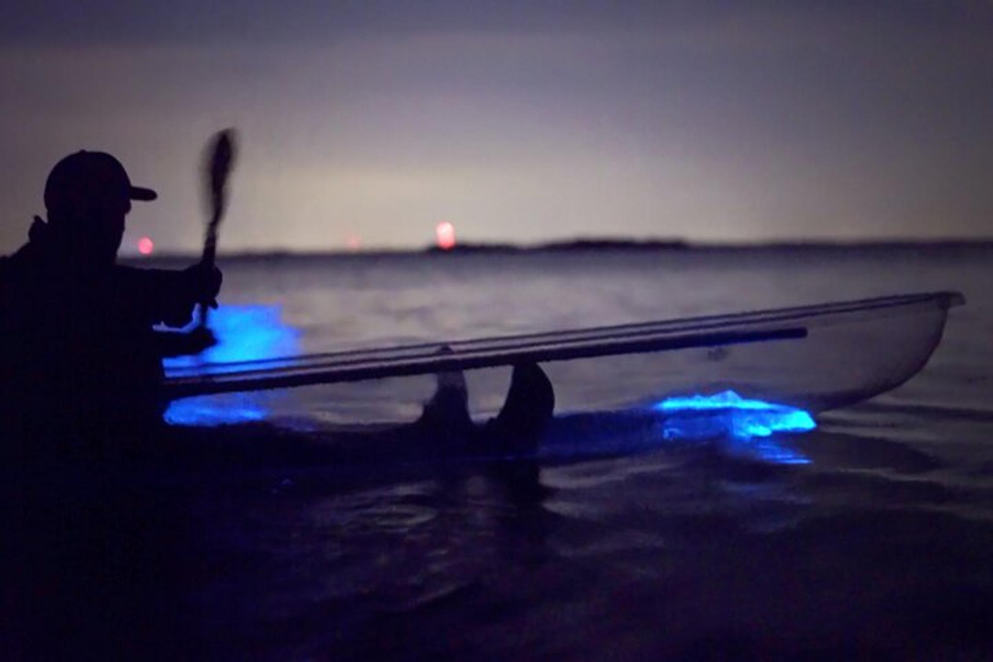 Cocoa Beach Clear Kayak Bioluminescence Tour 90 min