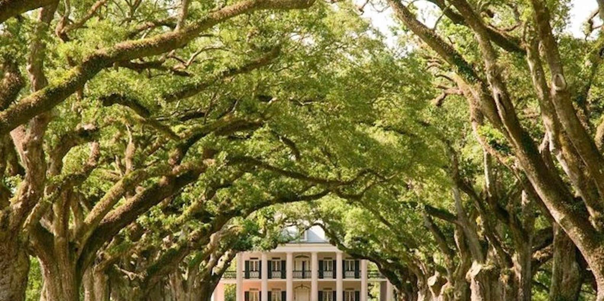 New Orleans Plantation and Airboat Tour - Image 2