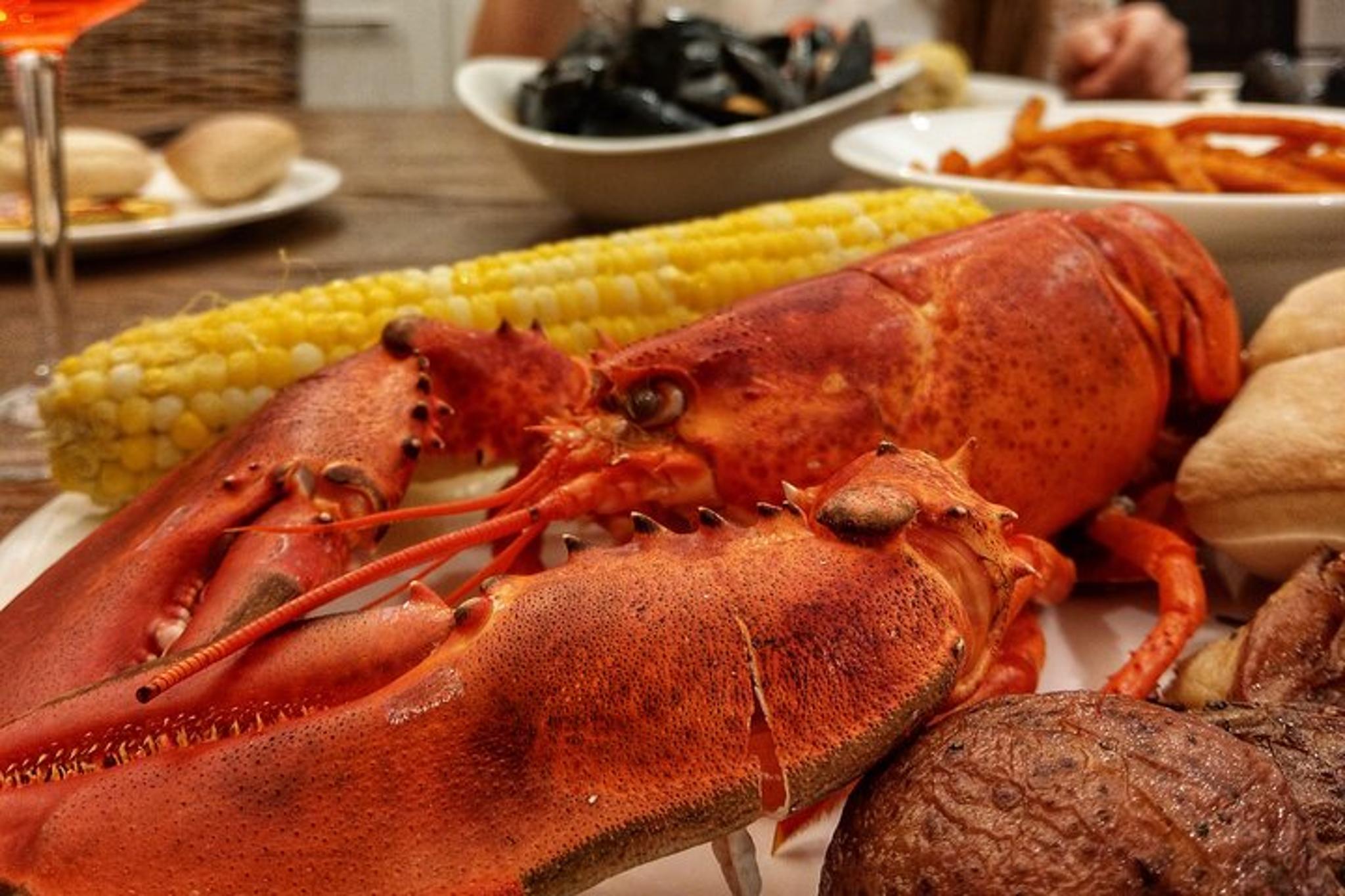 New York Helicopter Day Trip to Cape Cod - Image 4