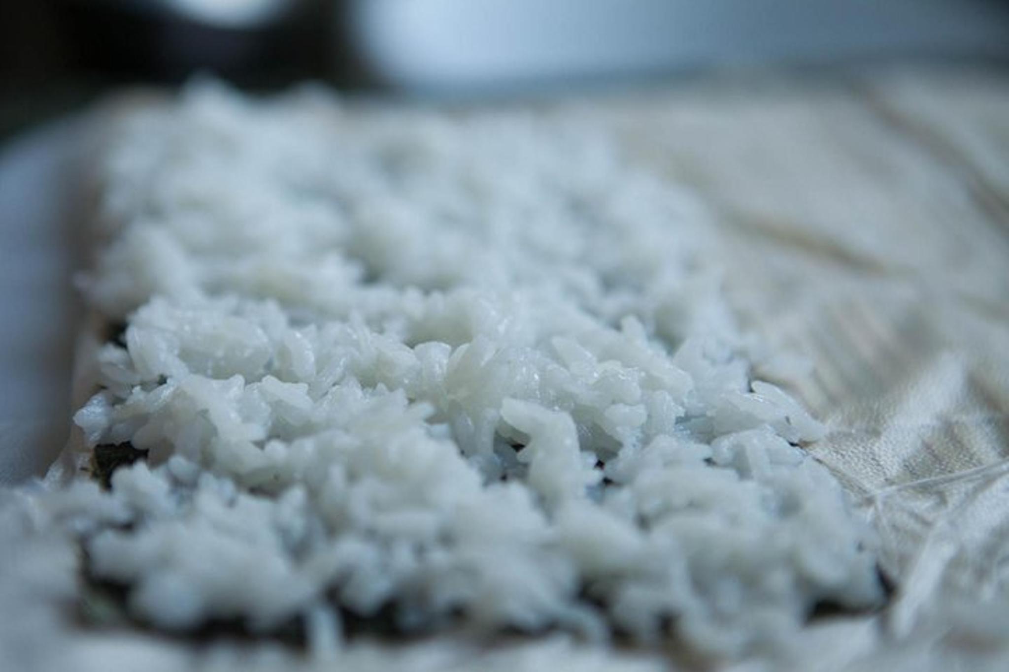 Seattle Sushi Making Class - Image 3