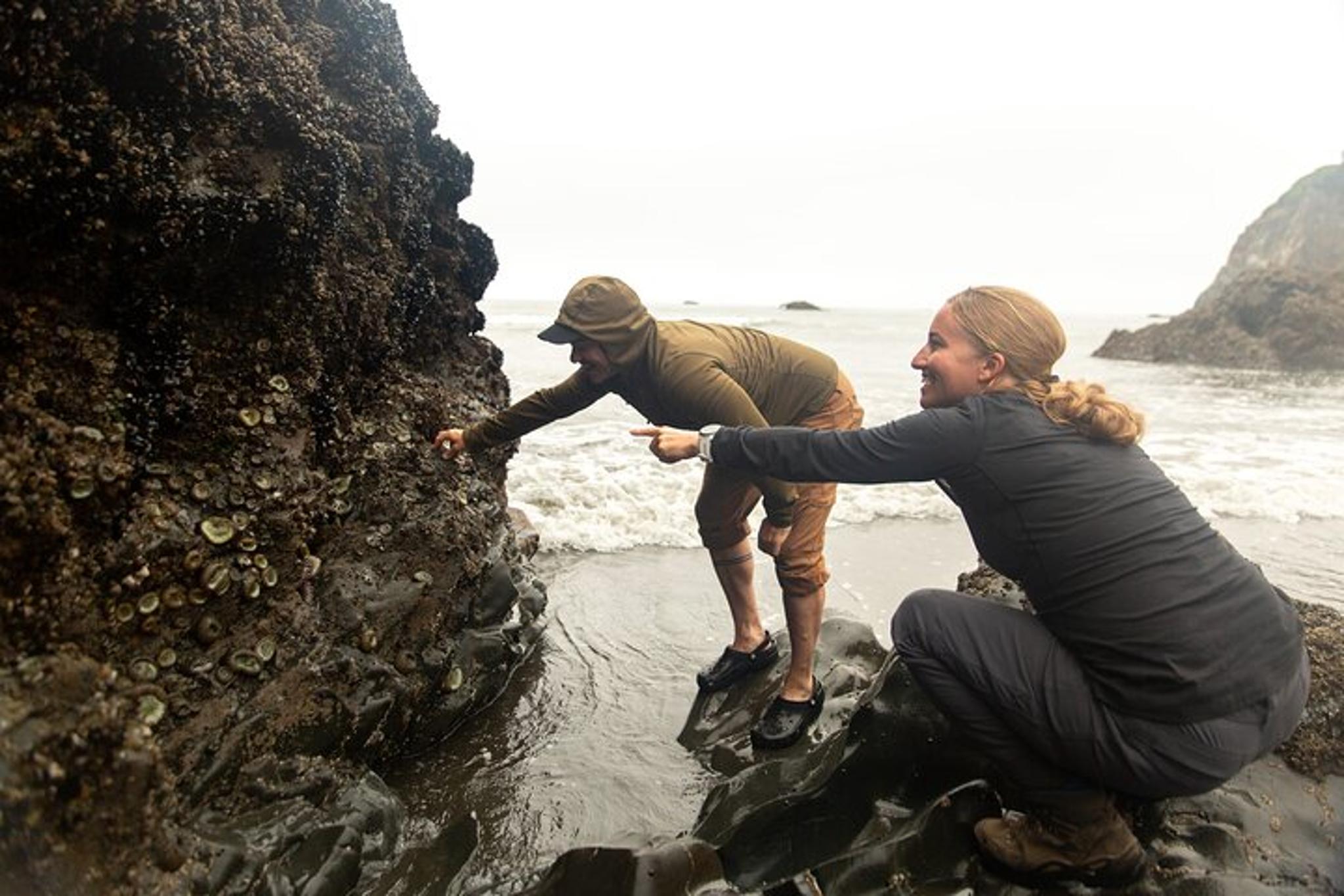 Olympic National Park Private Tour & Hike - Image 3