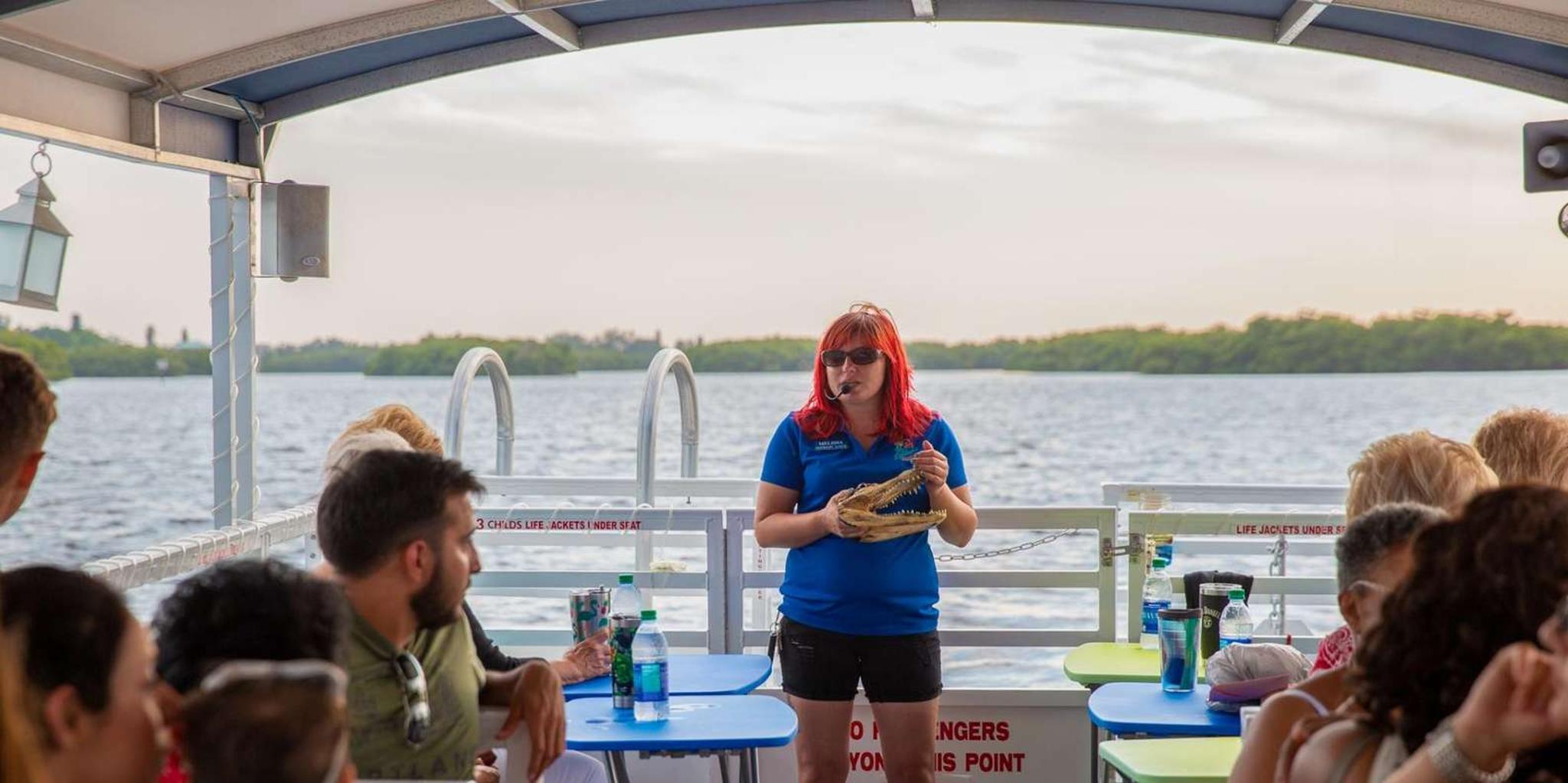 Tampa Bay Eco Cruise with Wildlife Viewing 2 hr - Image 5