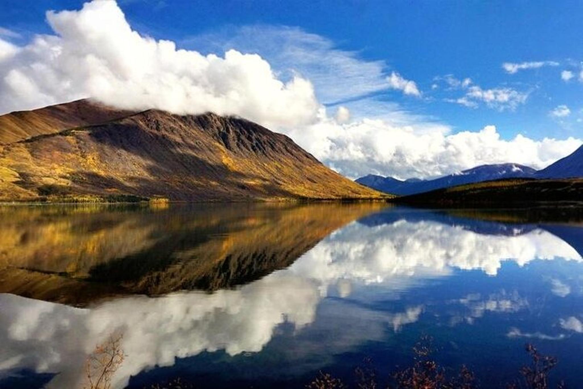 Skagway Emerald Lake Van Excursion 7 hr - Image 5