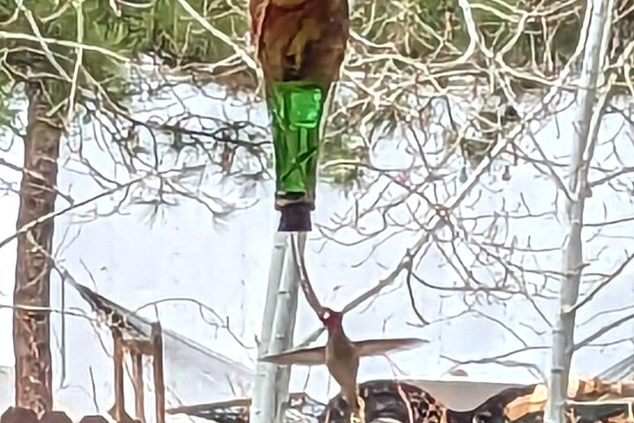 Estes Park Hydro Dipped Hummingbird Feeder Workshop