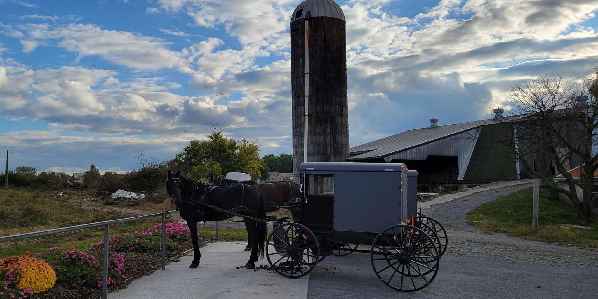 Lancaster Downtown & Amish Country Tour