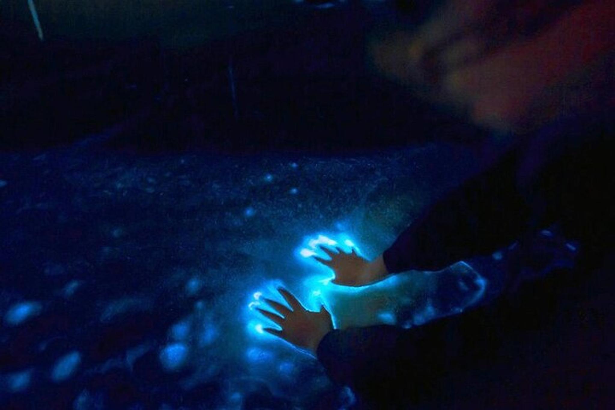 Cocoa Beach Bioluminescence Tour at Sunset