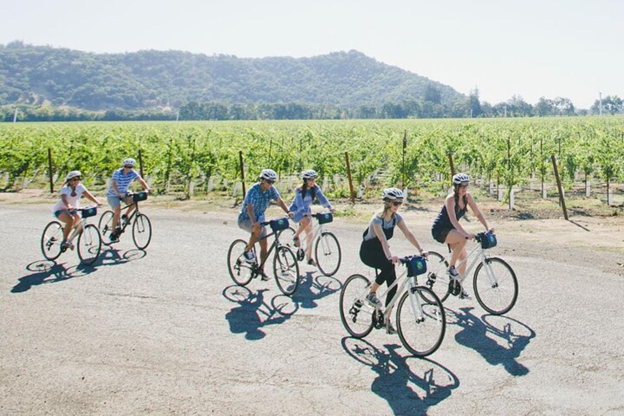 Napa Valley E-Bike Tour - Image 4