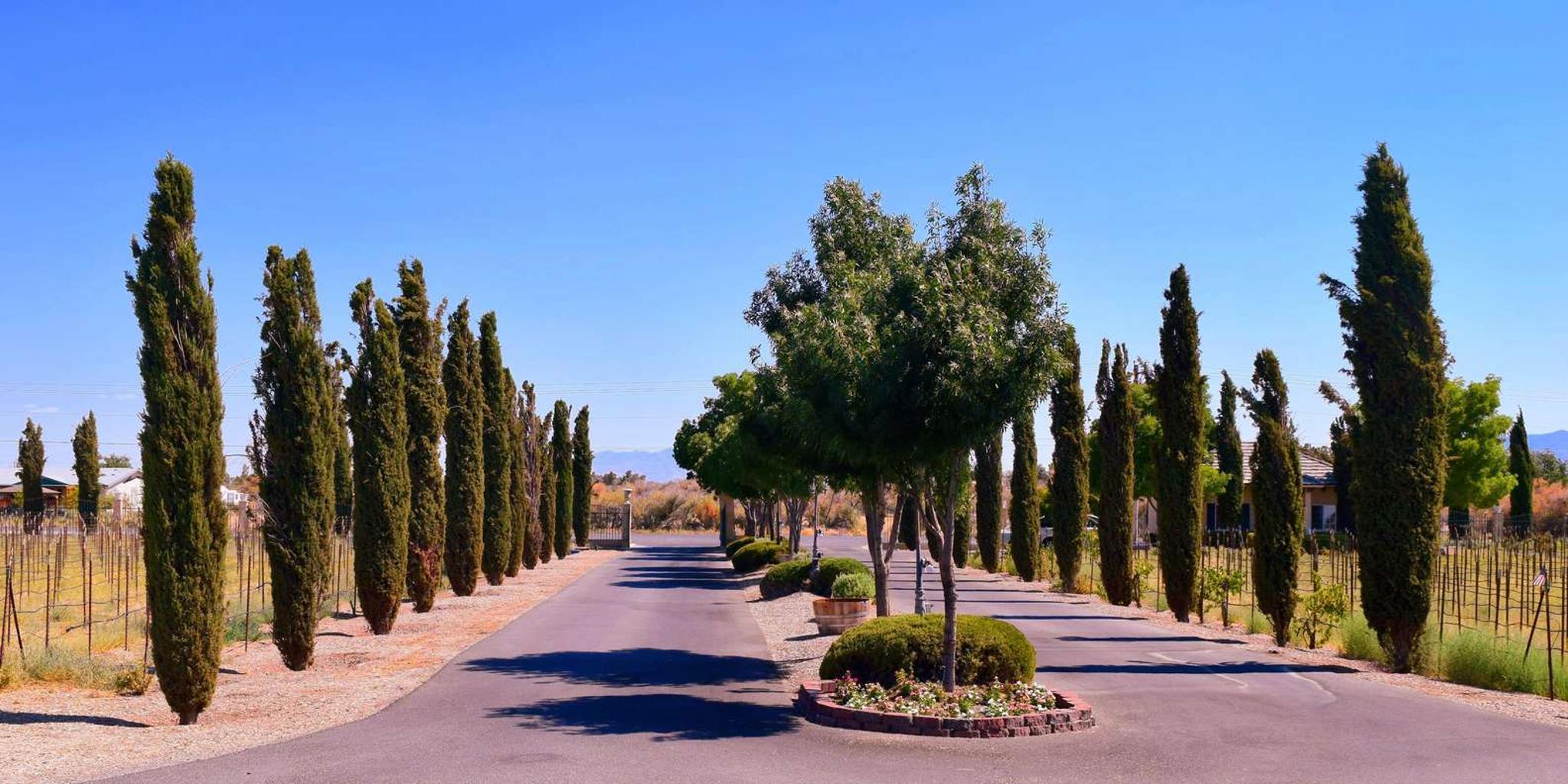 Las Vegas Wine Tasting Tour in Pahrump - Image 6