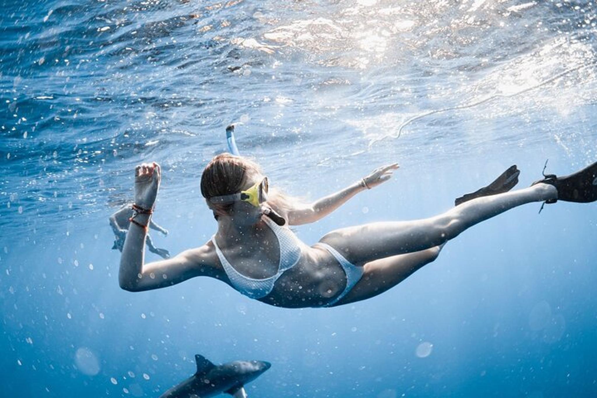 Oahu Shark Diving Experience - Image 4