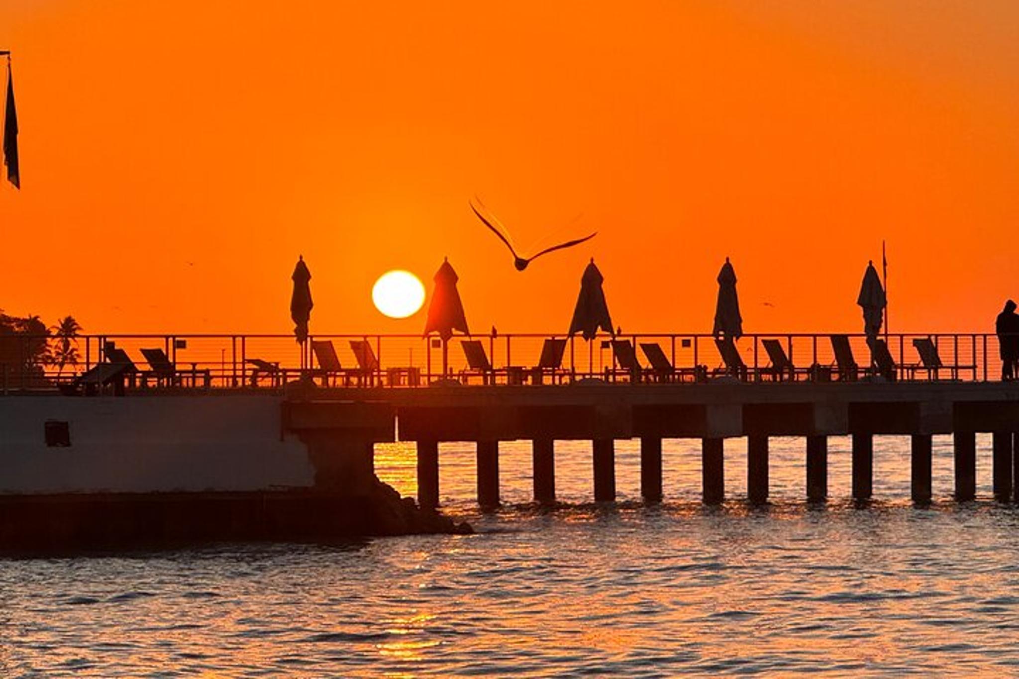 Miami to Key West Full-Day Tour - Image 5