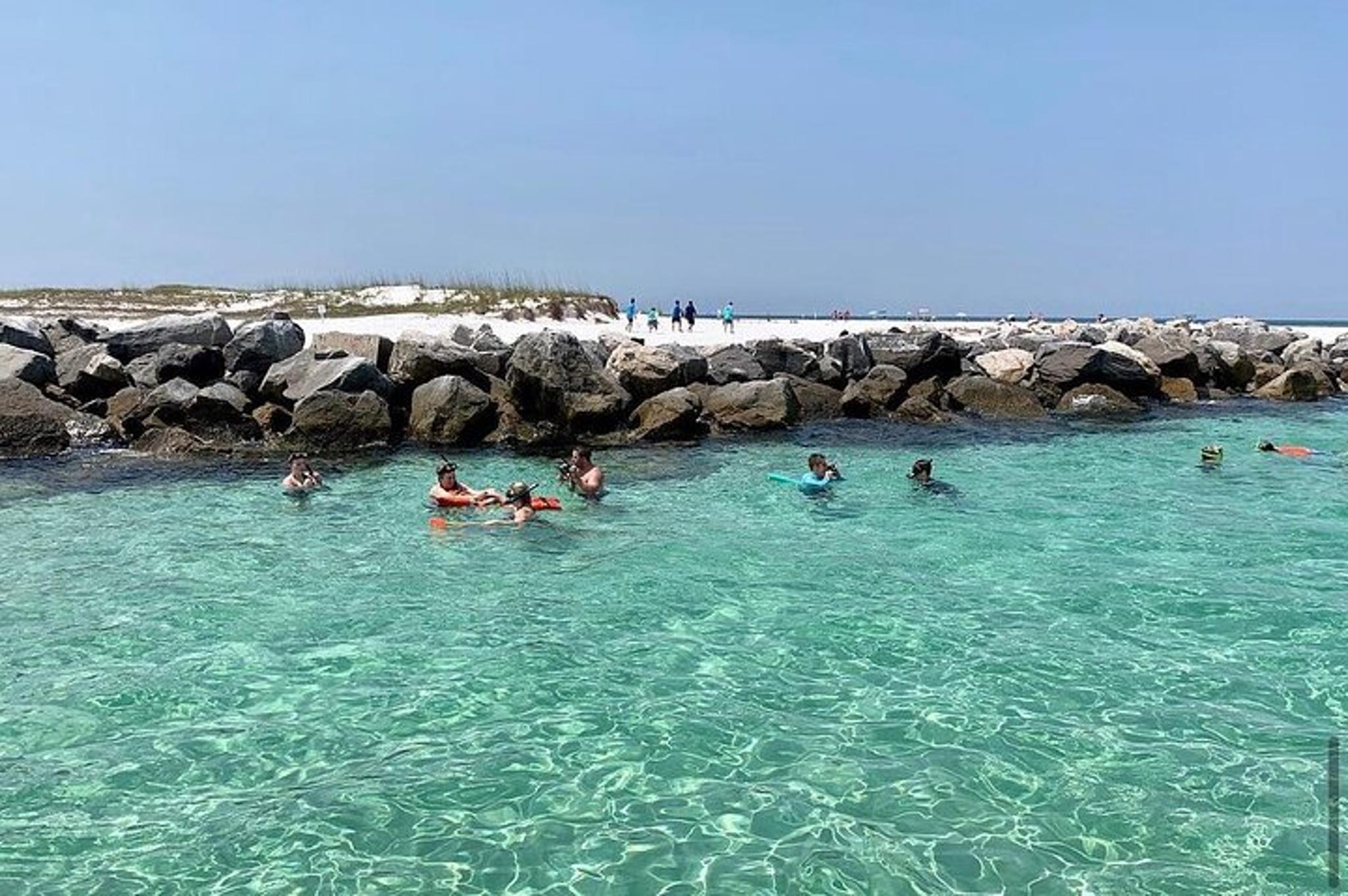 Panama City Beach Dolphin & Snorkeling Tour - Image 3