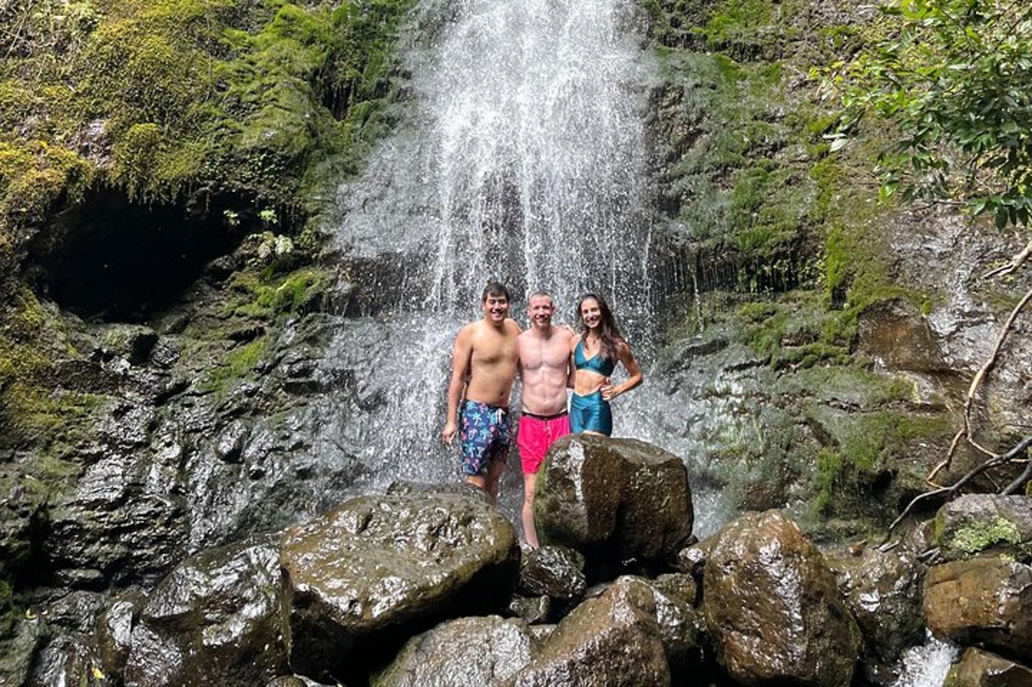 Hawaii Waterfall Hike with Private Transportation - Image 3