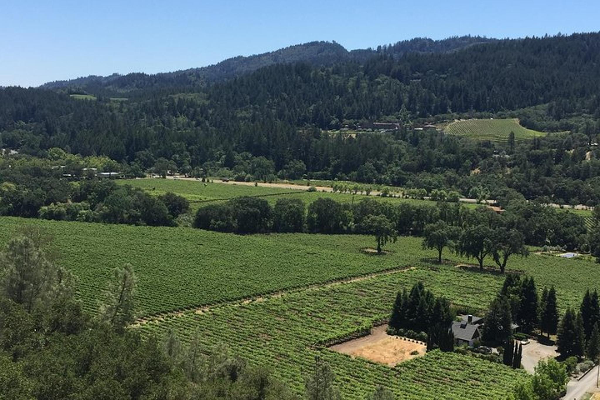 Napa and Sonoma Wine Tour - Image 3