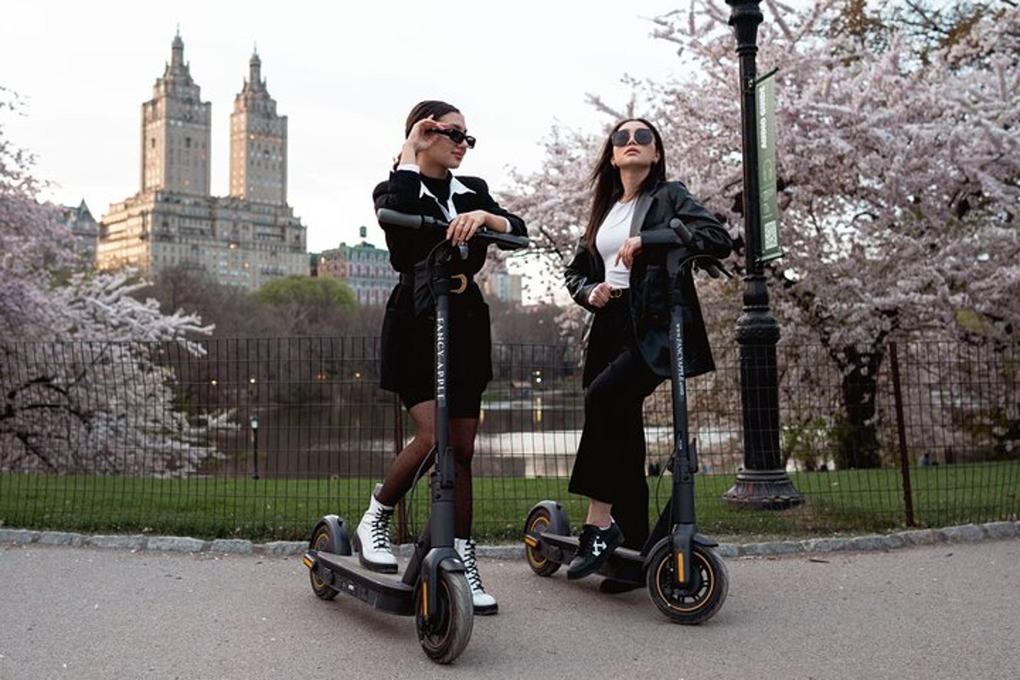 New York City Electric Scooter Rental - Image 2
