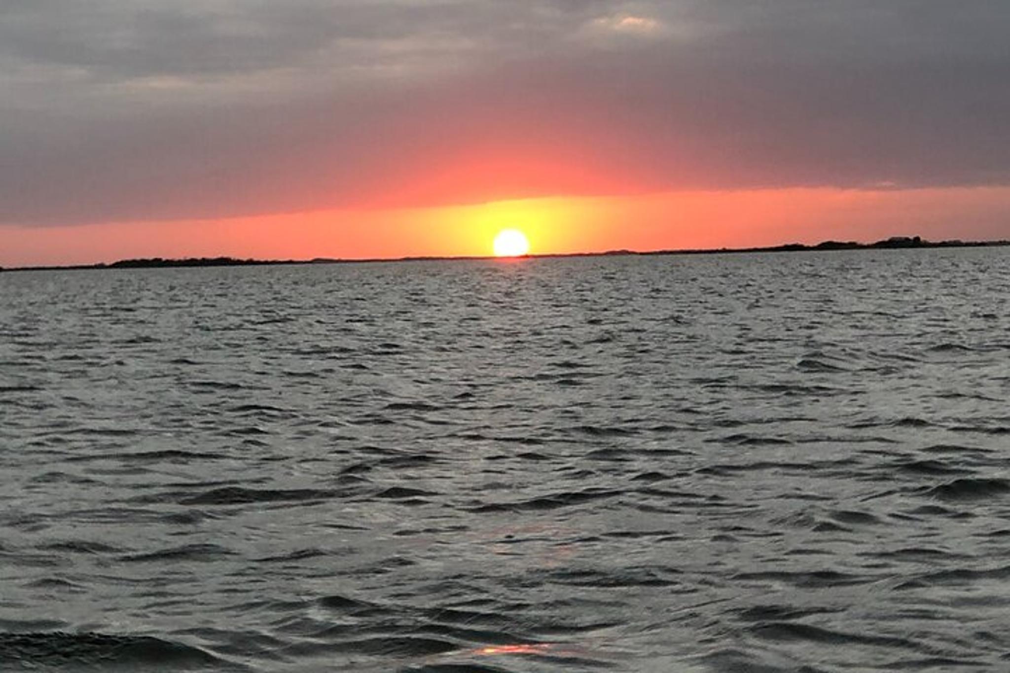 Port Aransas Dolphin Watch and Sunset Boat Tour - Image 5