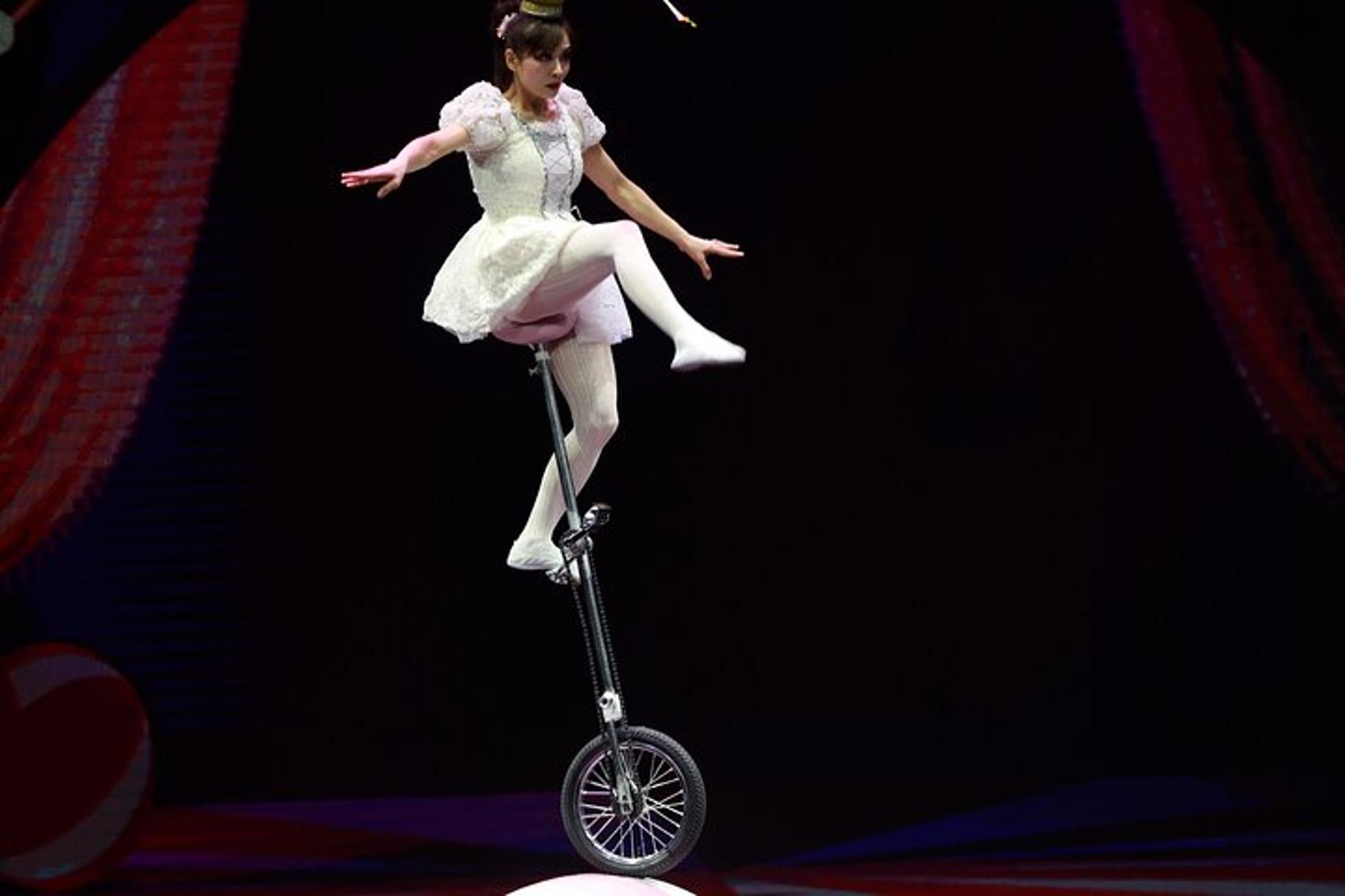 Branson Acrobatic Circus Show - Image 5